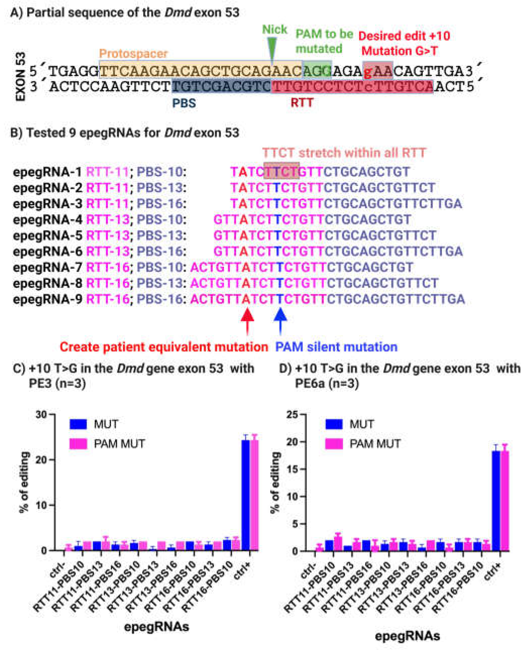 Preprints 199023 g004