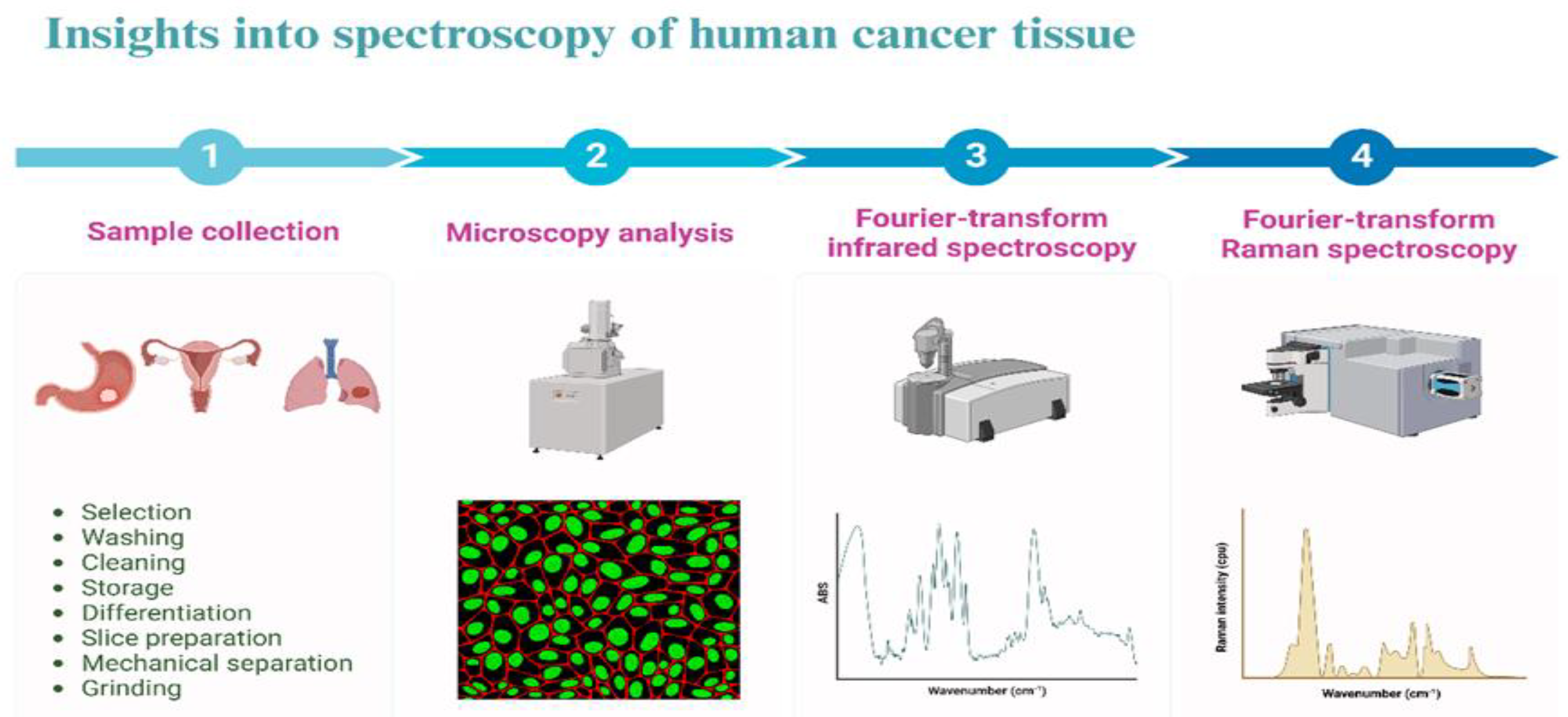 Preprints 150976 g001
