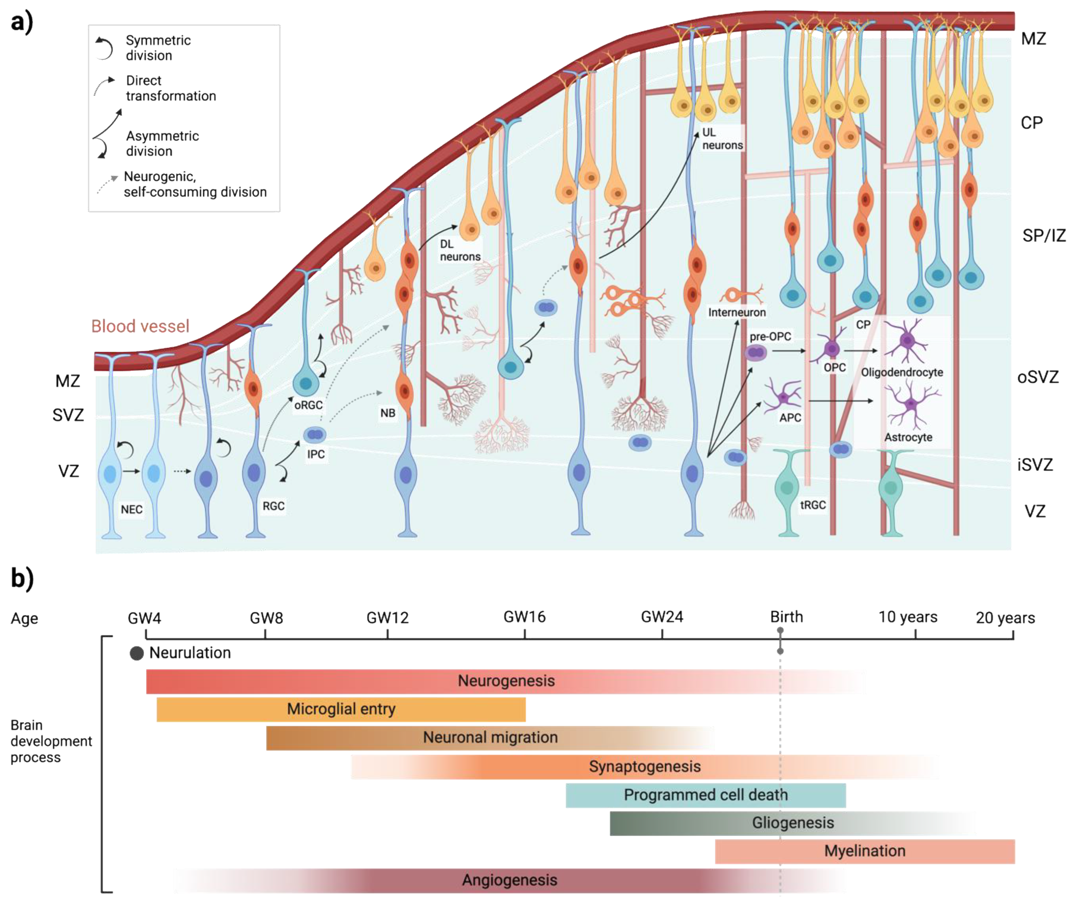 Preprints 147777 g001