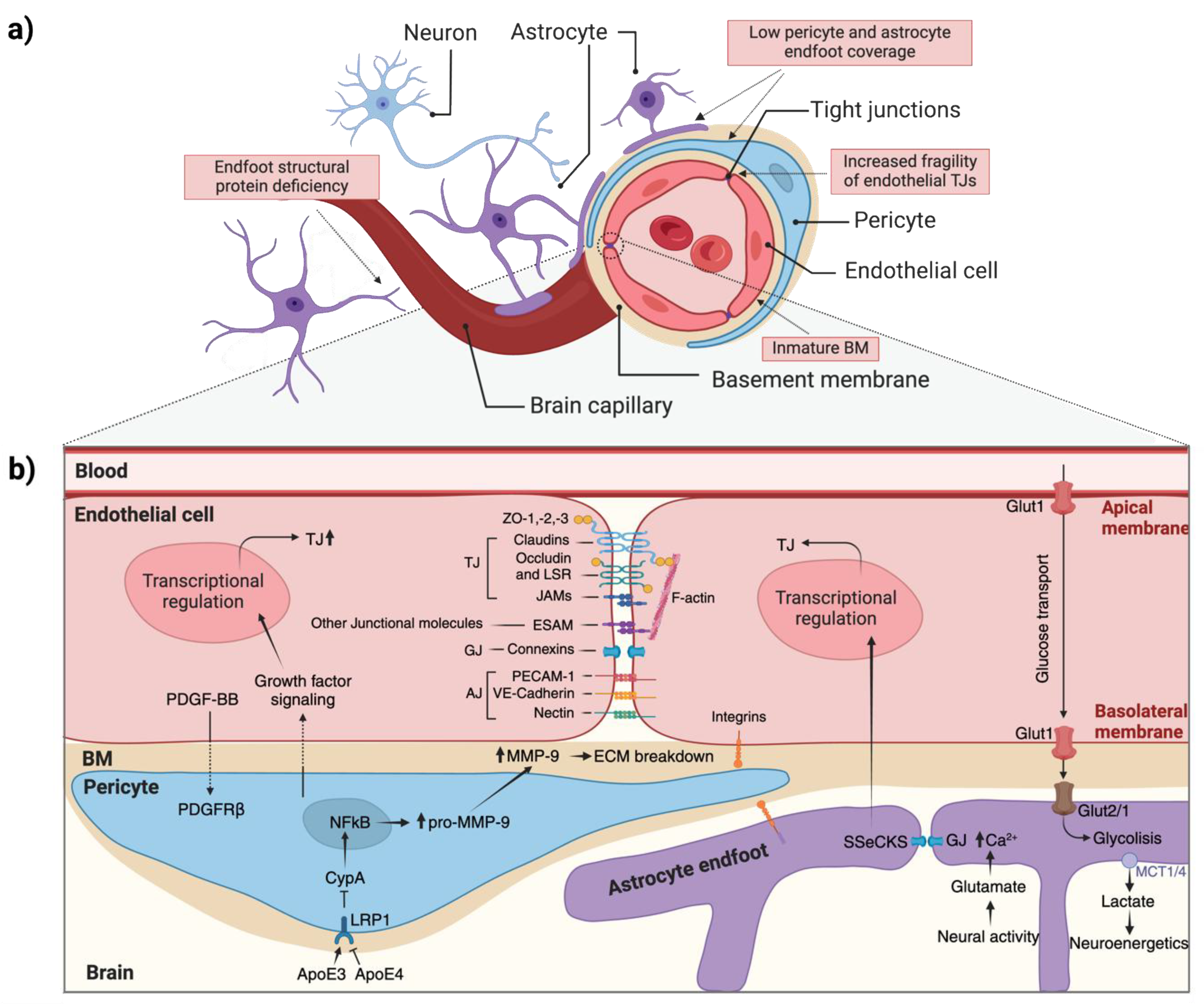 Preprints 147777 g002