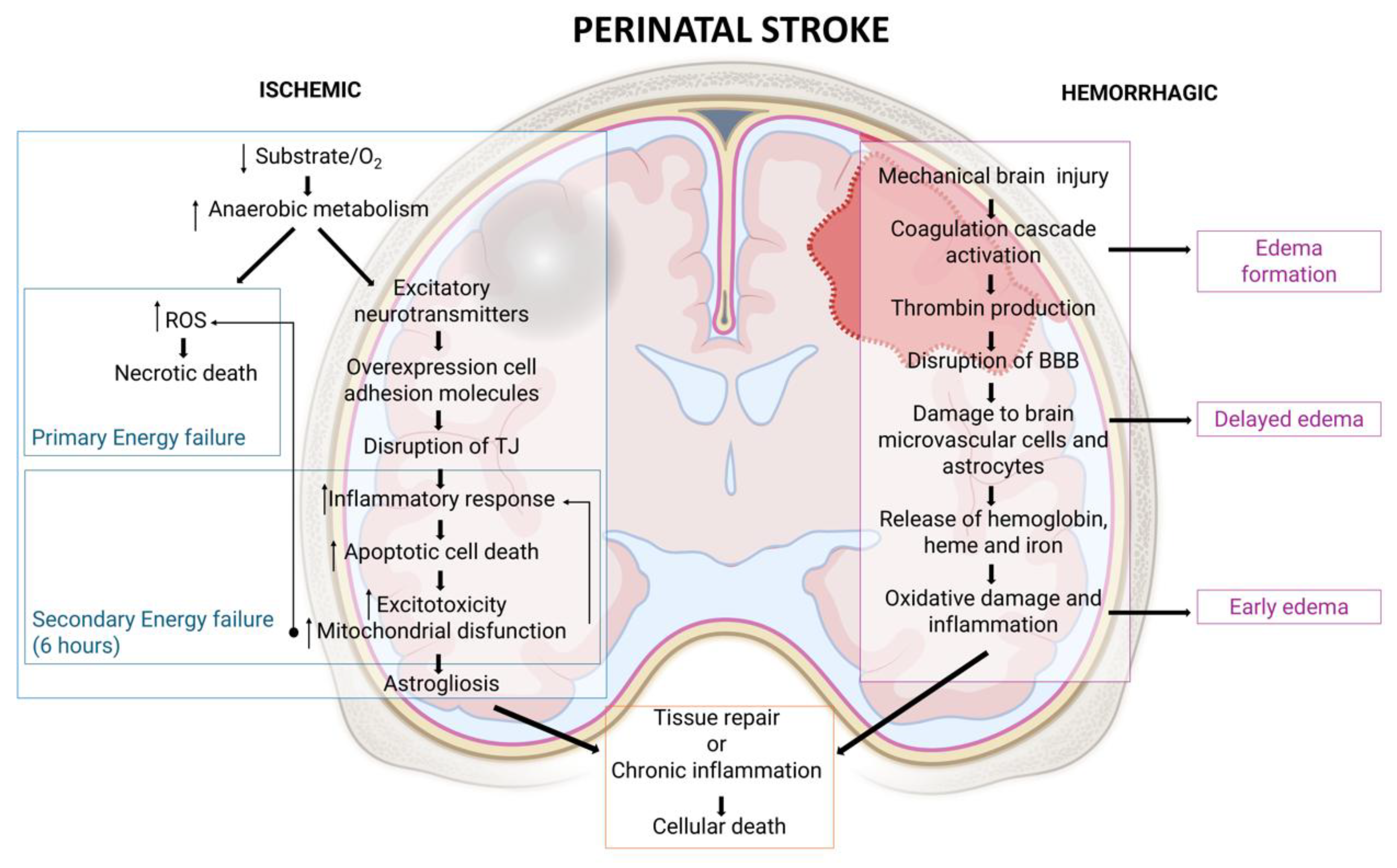Preprints 147777 g003