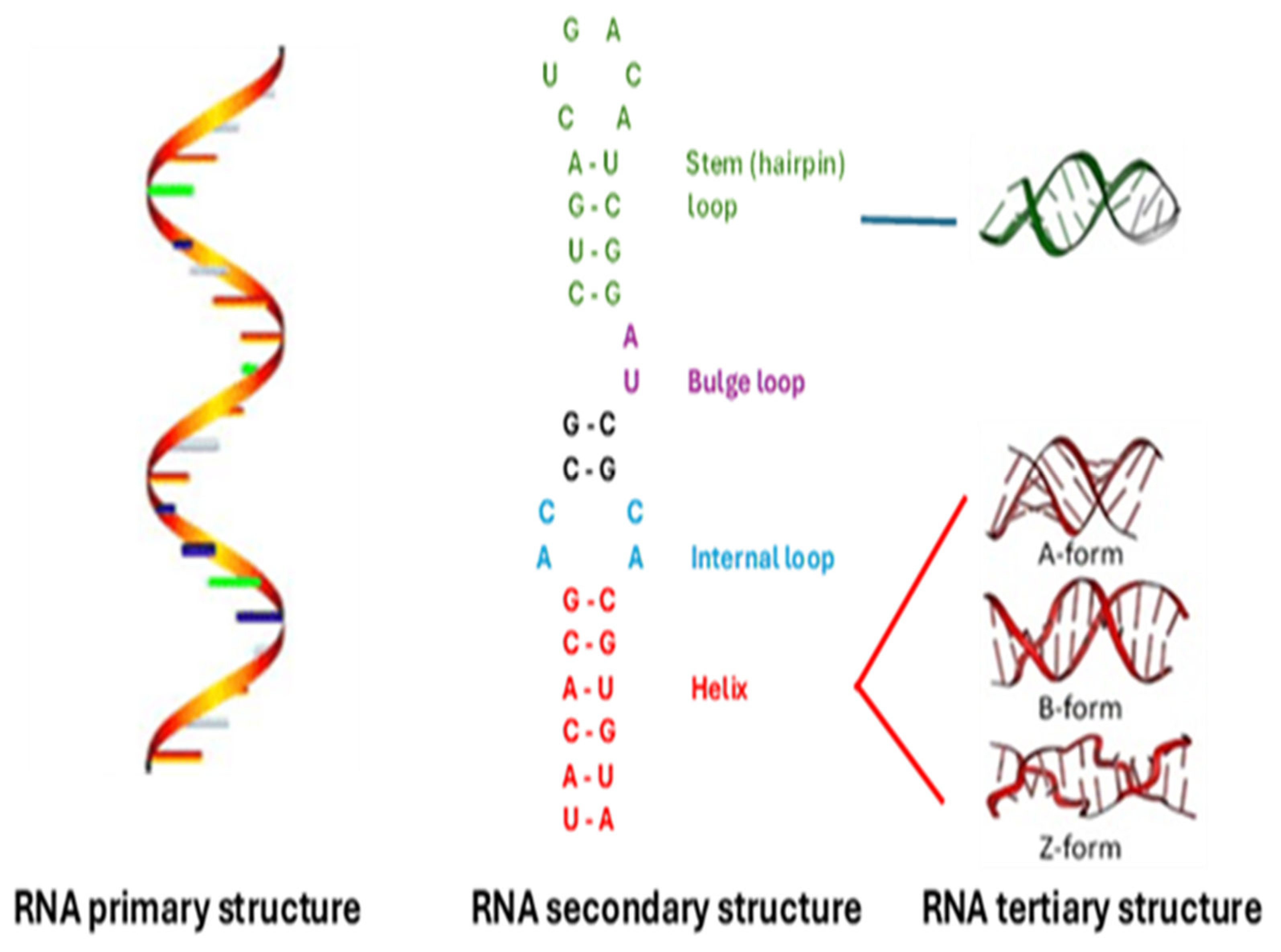 Preprints 140983 g001