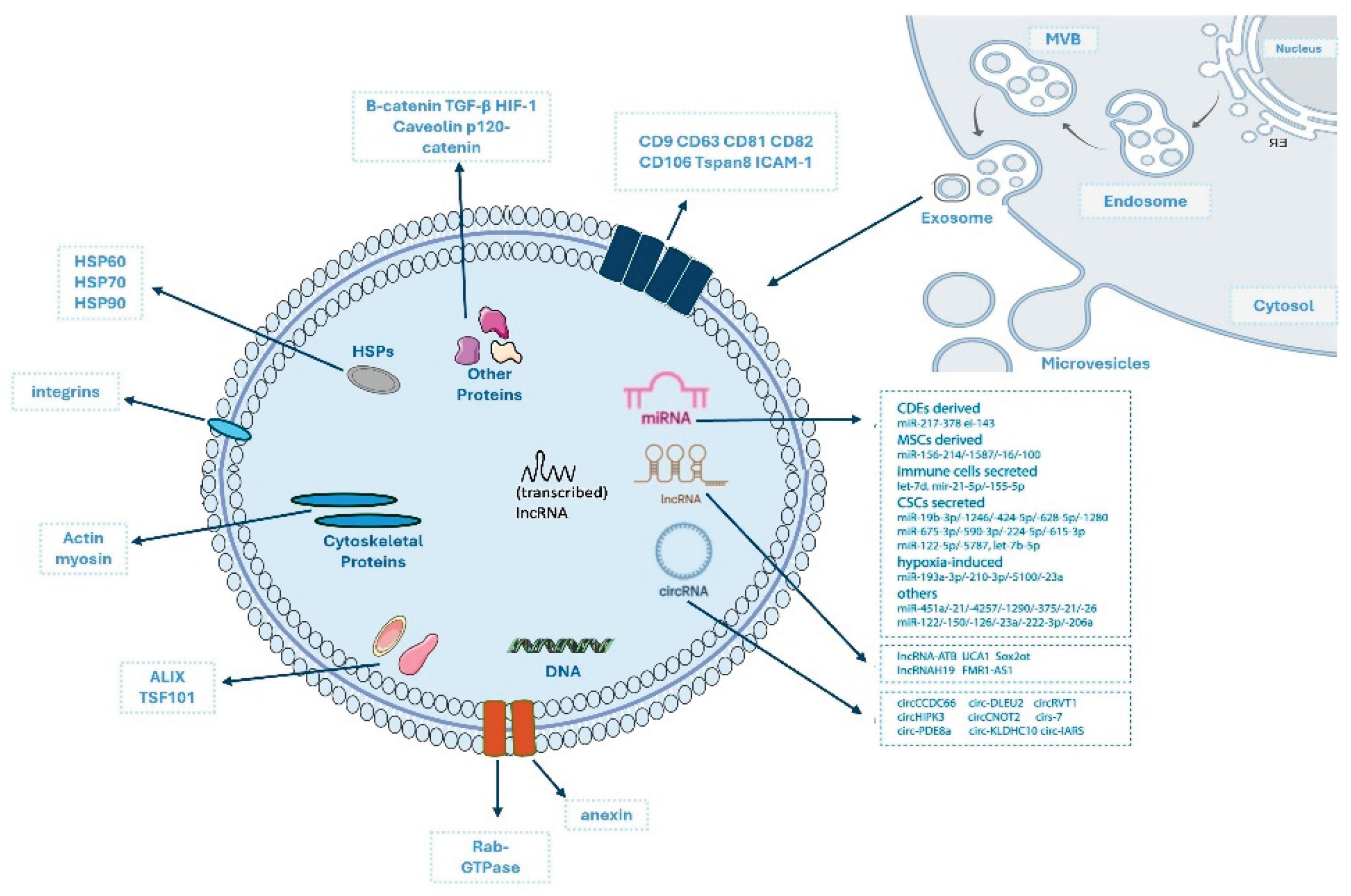 Preprints 197995 g001