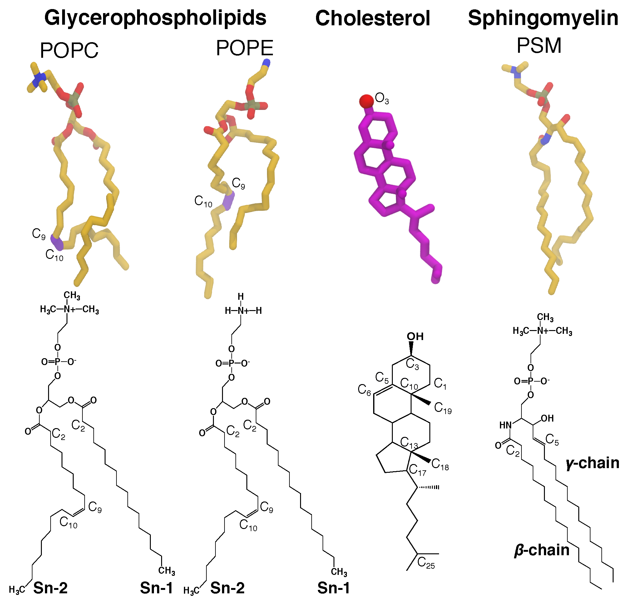 Preprints 188033 g001