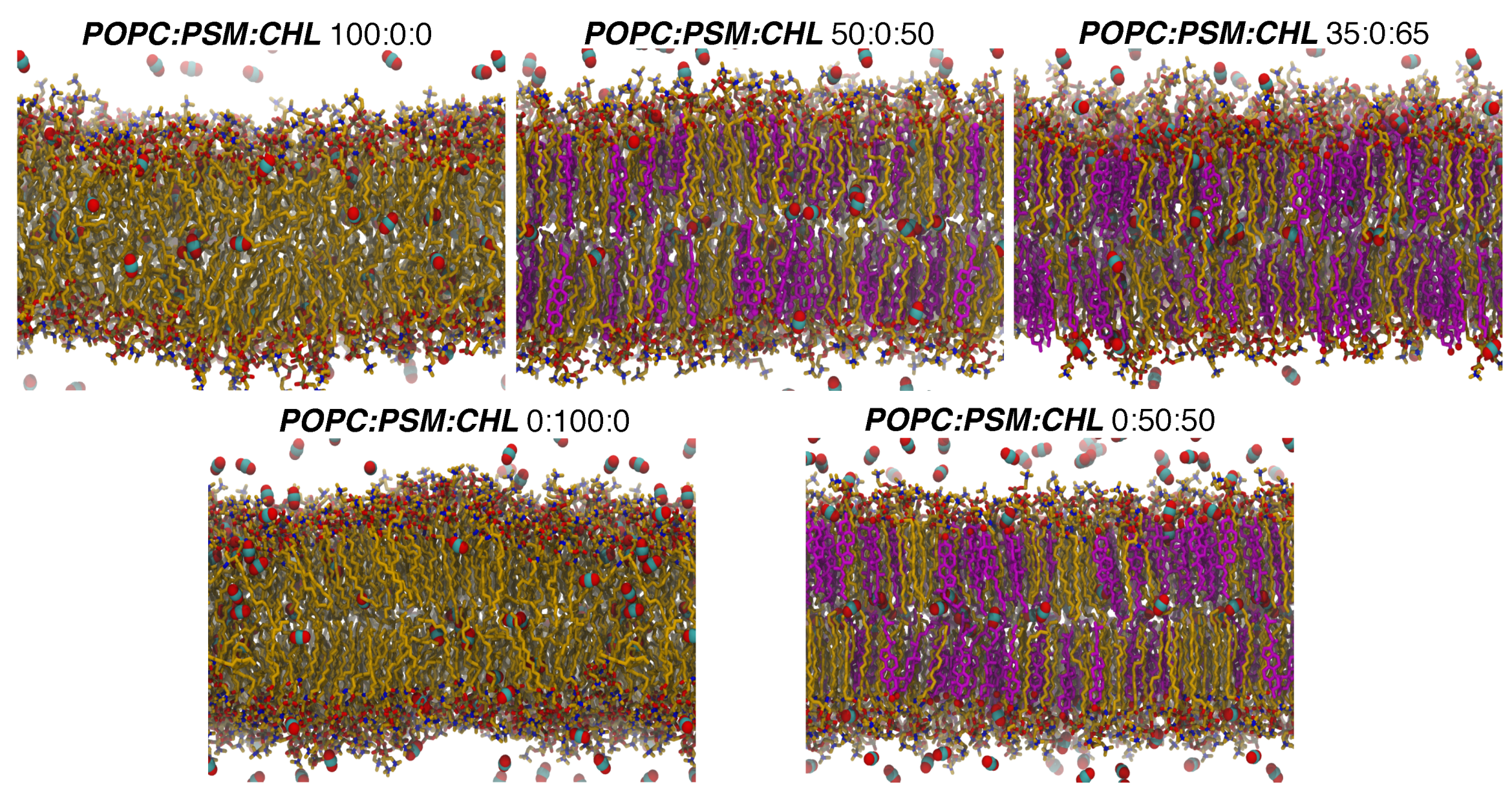 Preprints 188033 g003