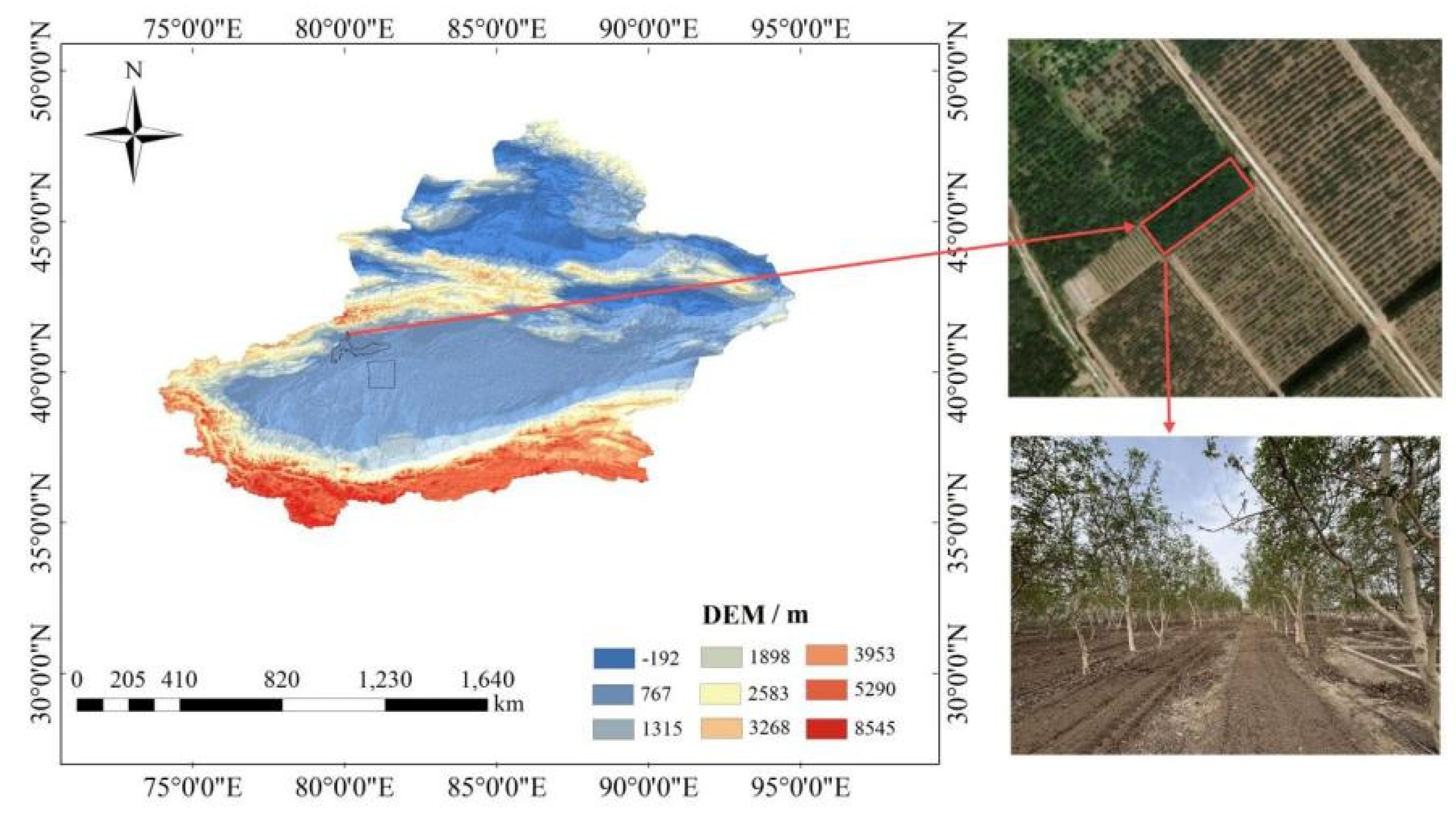 Preprints 176452 g001