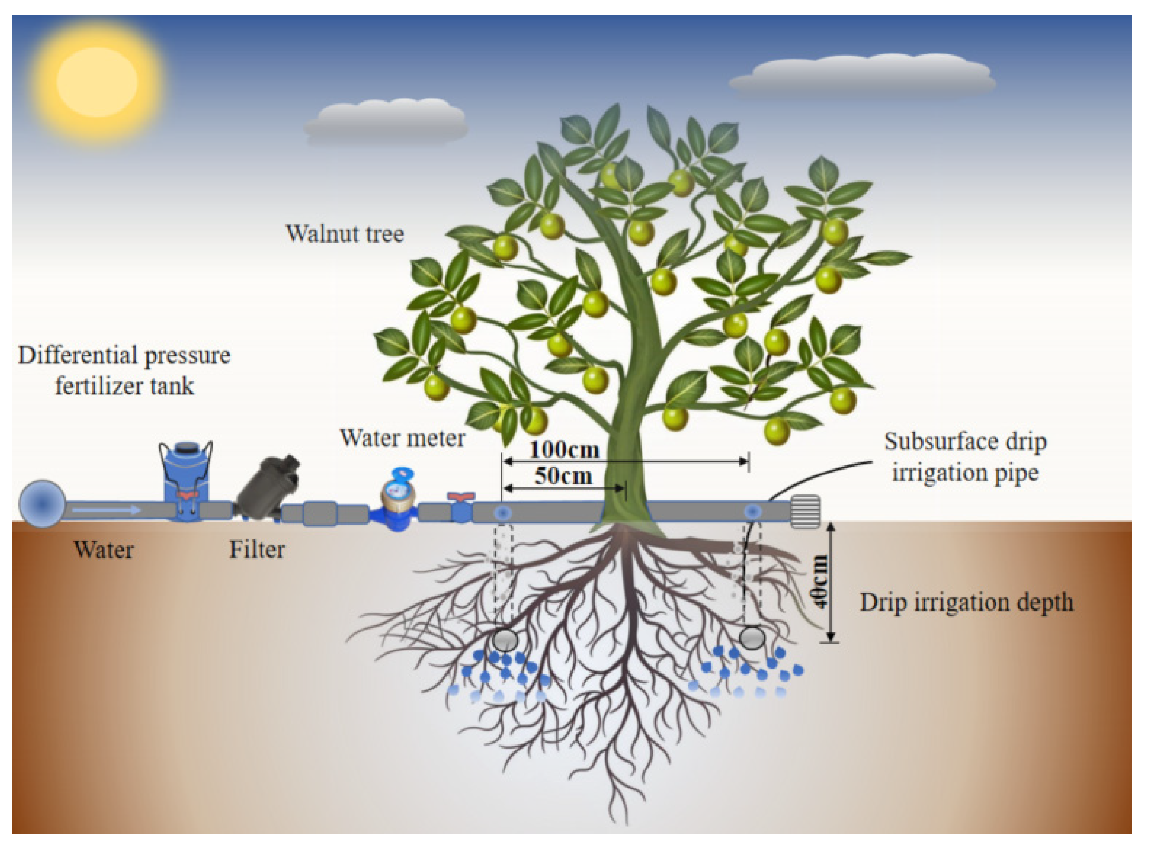 Preprints 176452 g002