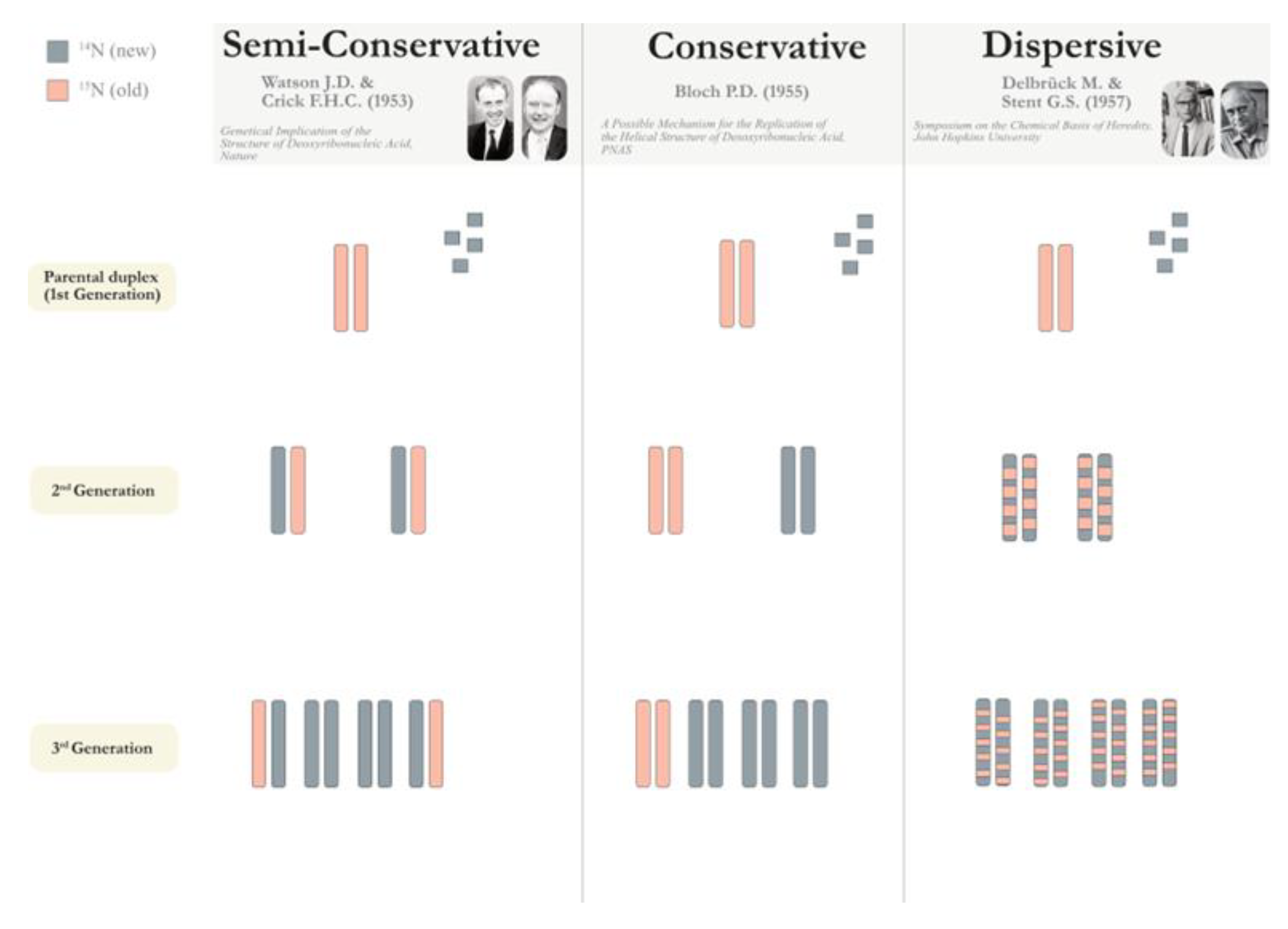 Preprints 143282 g001