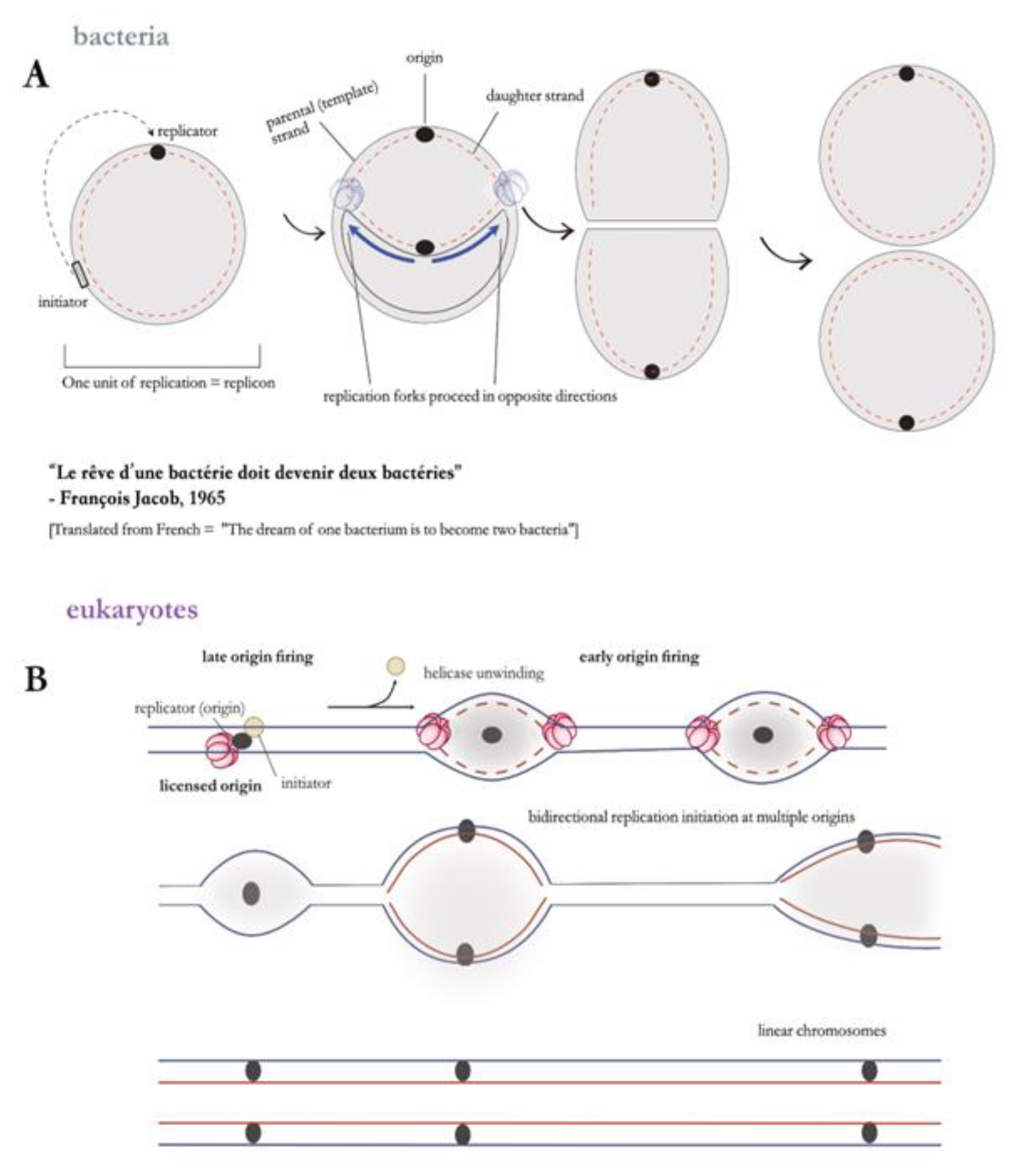 Preprints 143282 g003