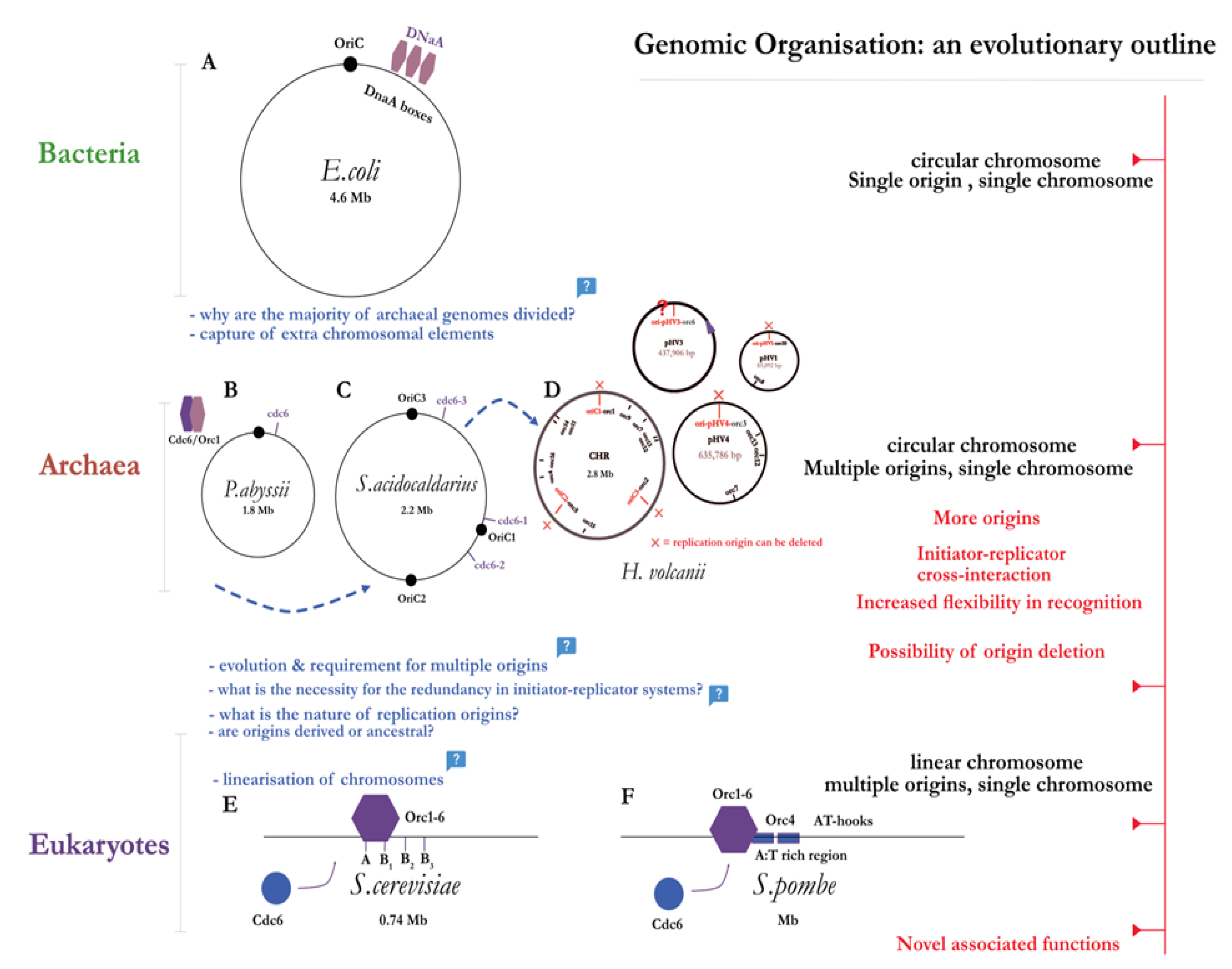 Preprints 143282 g004