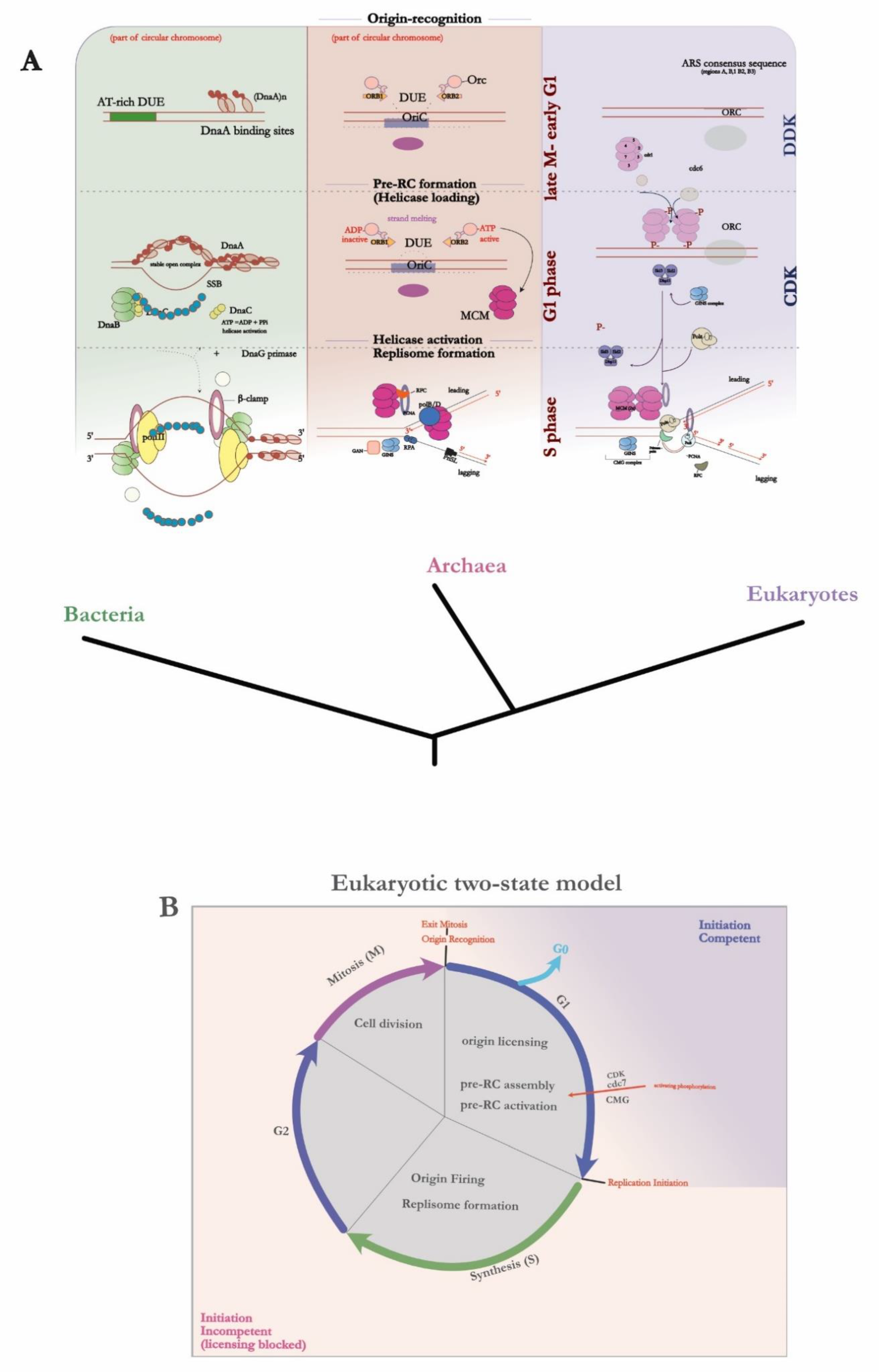 Preprints 143282 g005