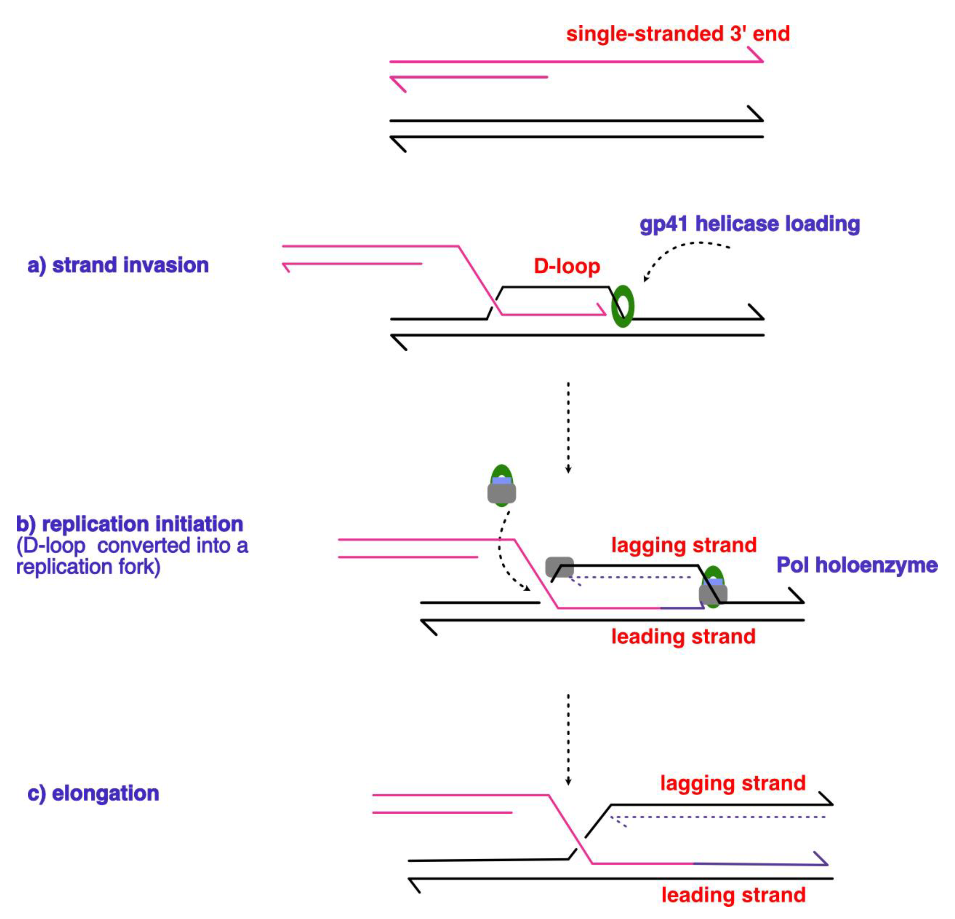 Preprints 143282 g006