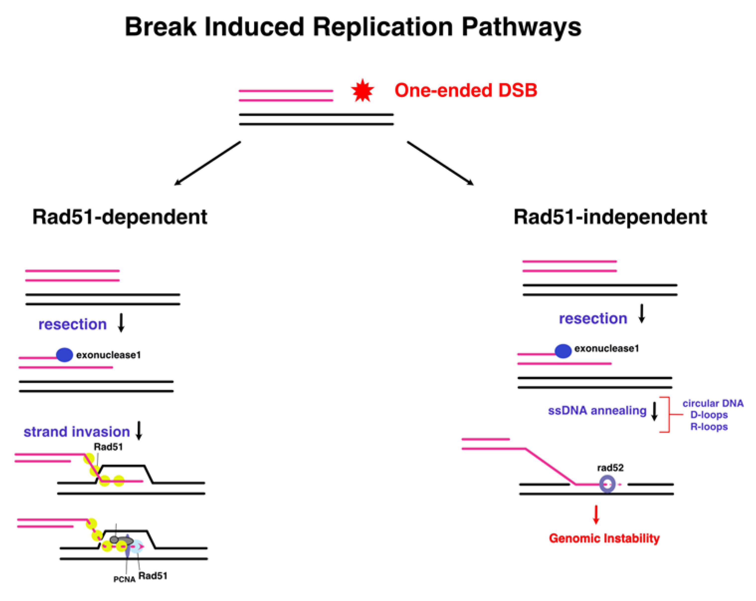Preprints 143282 g007