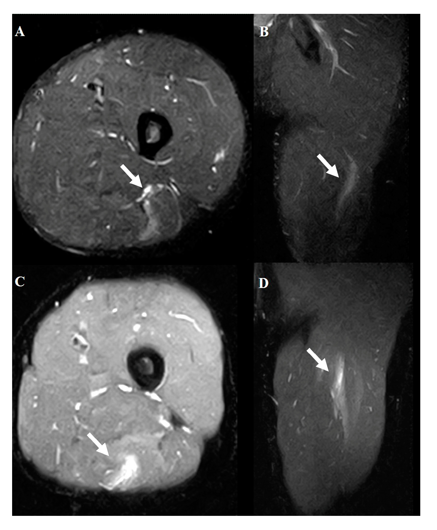 Preprints 150265 g001