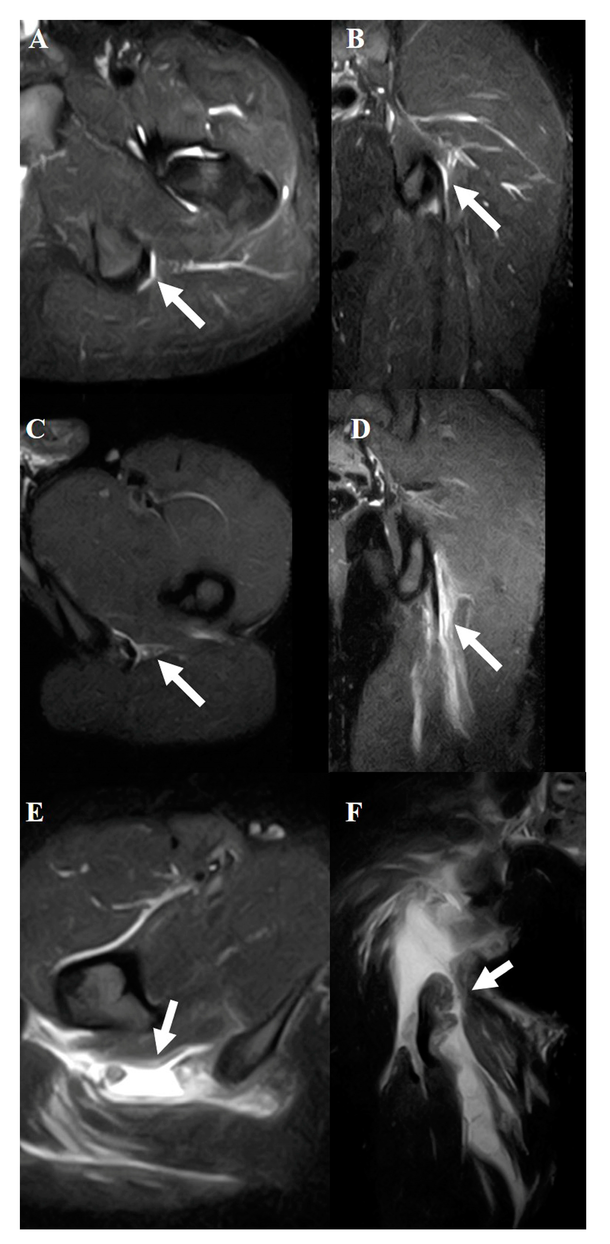 Preprints 150265 g003