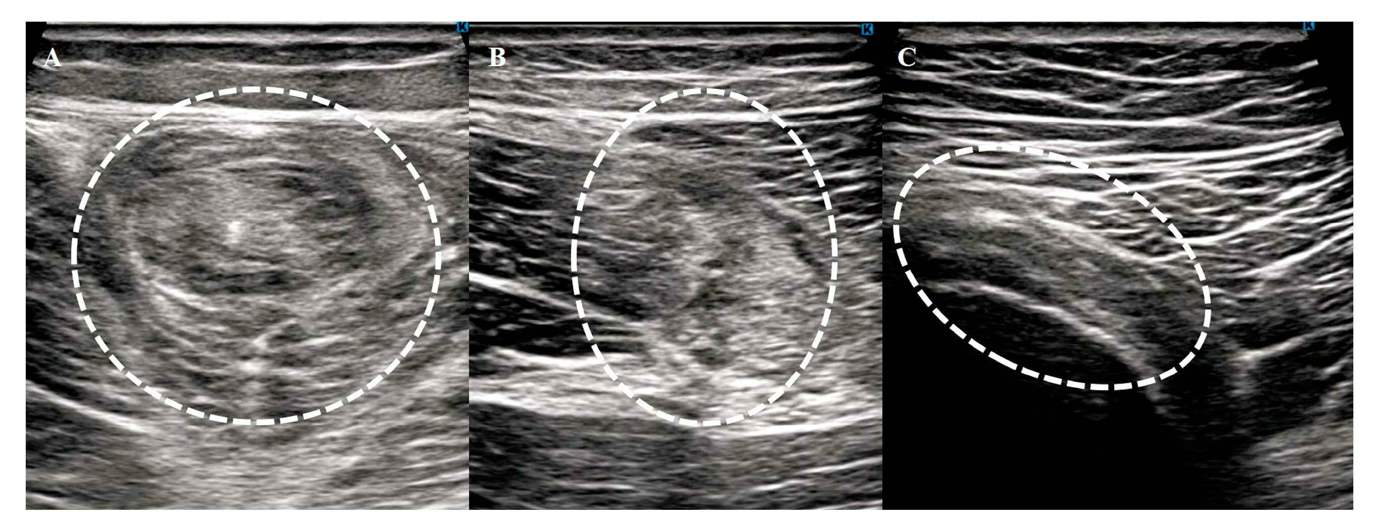 Preprints 150265 g004