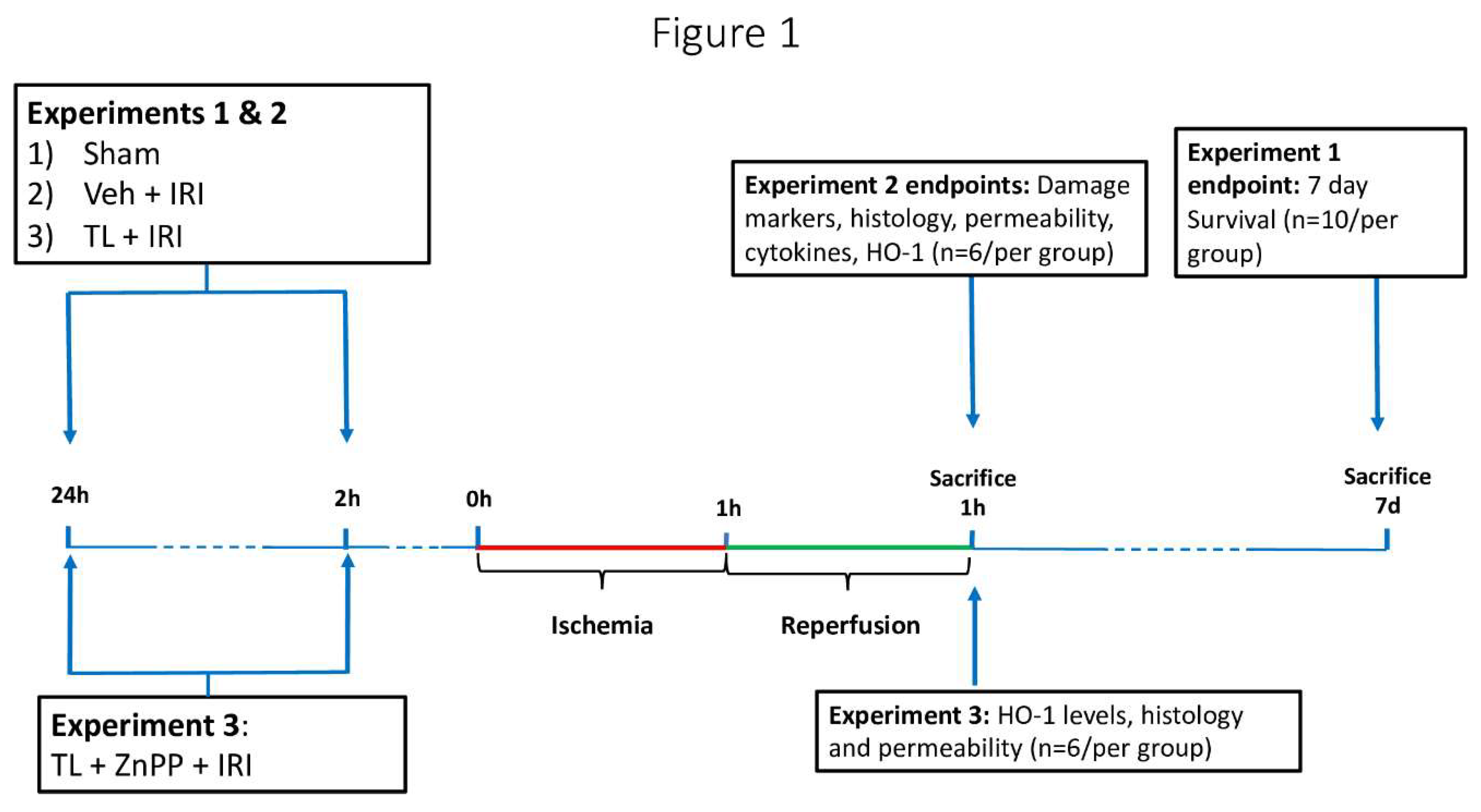 Preprints 147870 g001