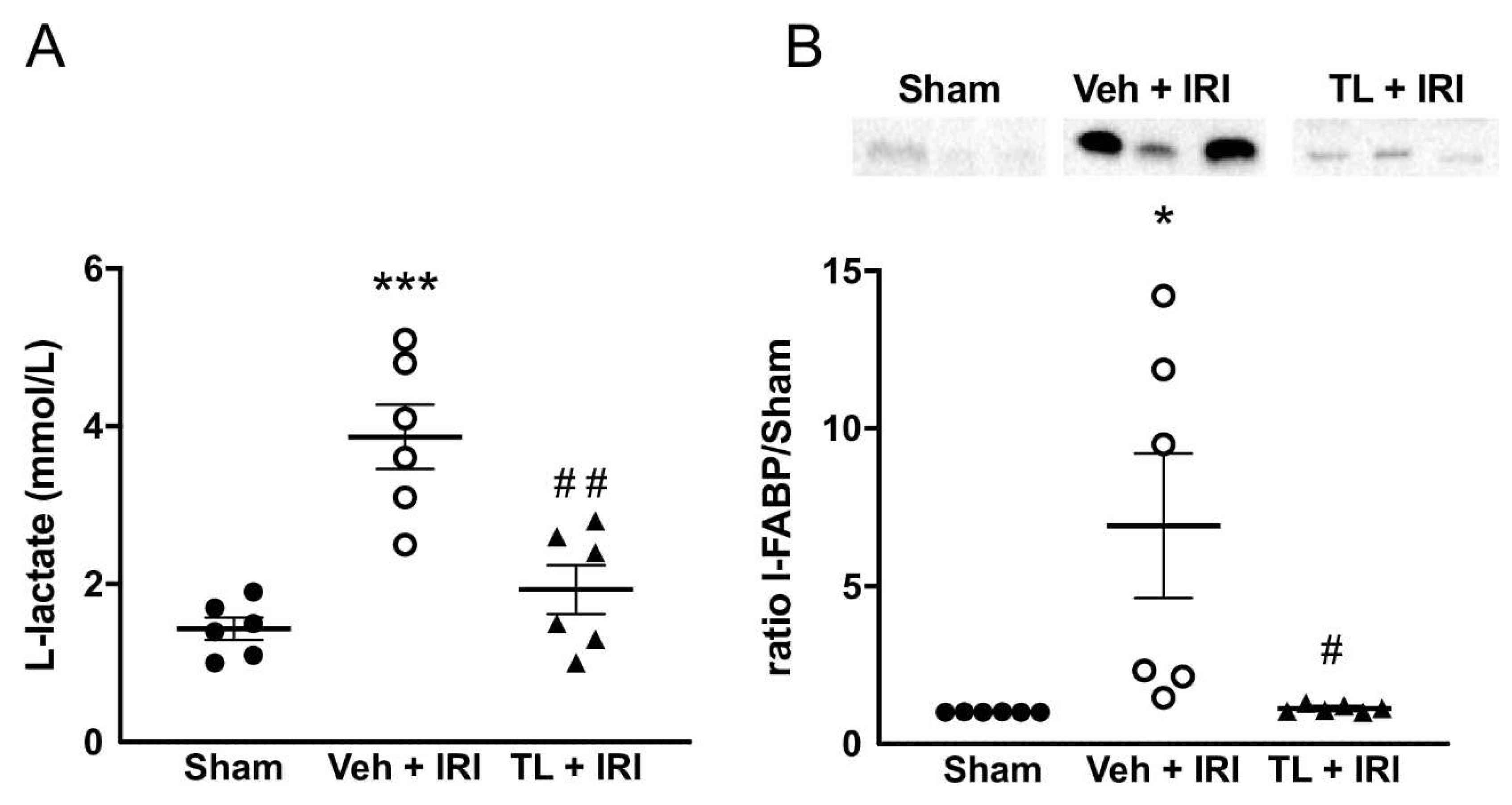 Preprints 147870 g003