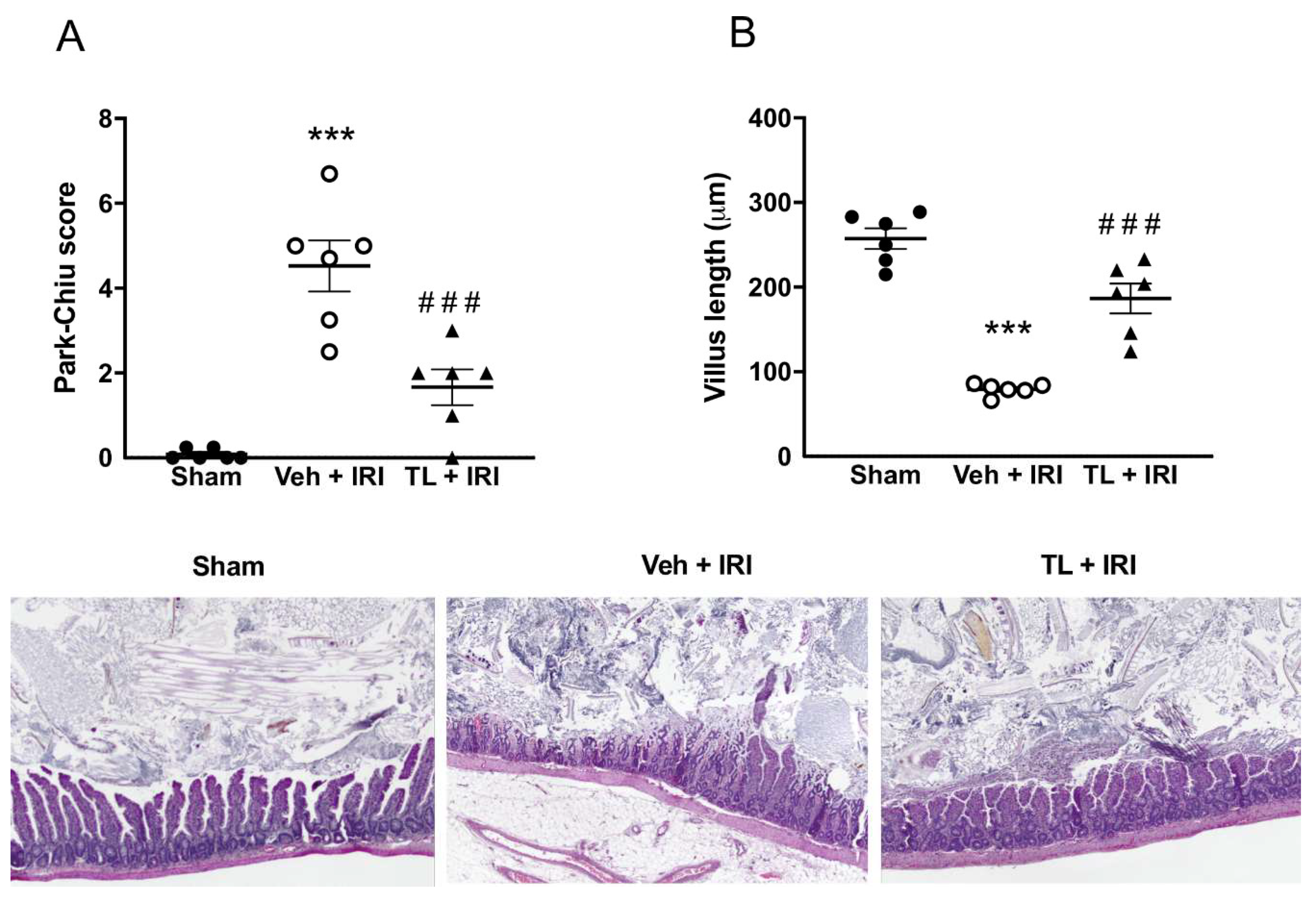 Preprints 147870 g004