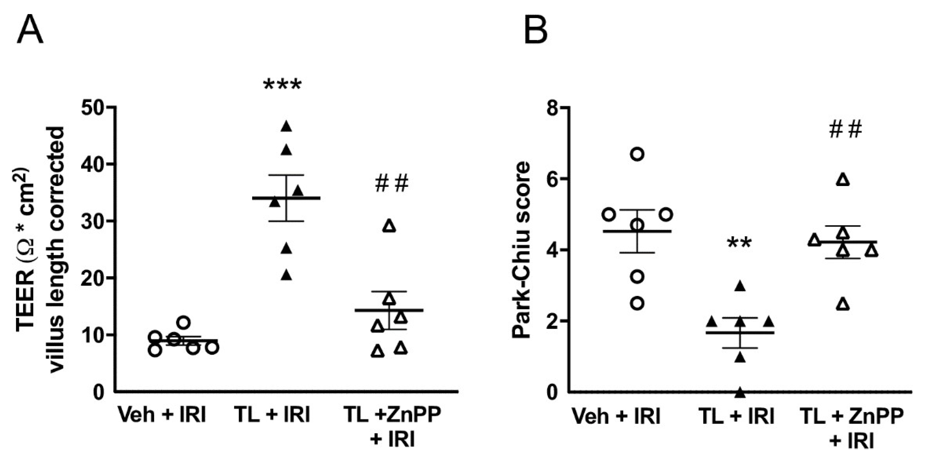 Preprints 147870 g008