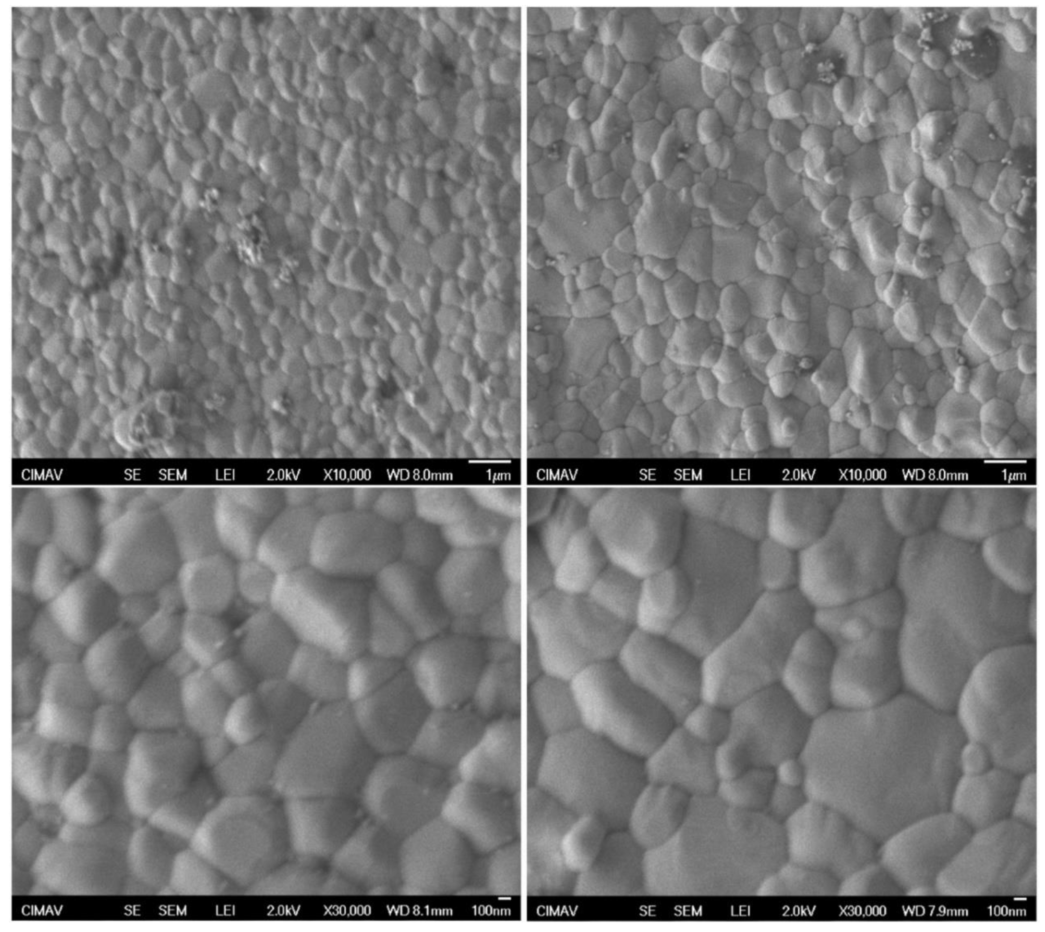 Preprints 199662 g004