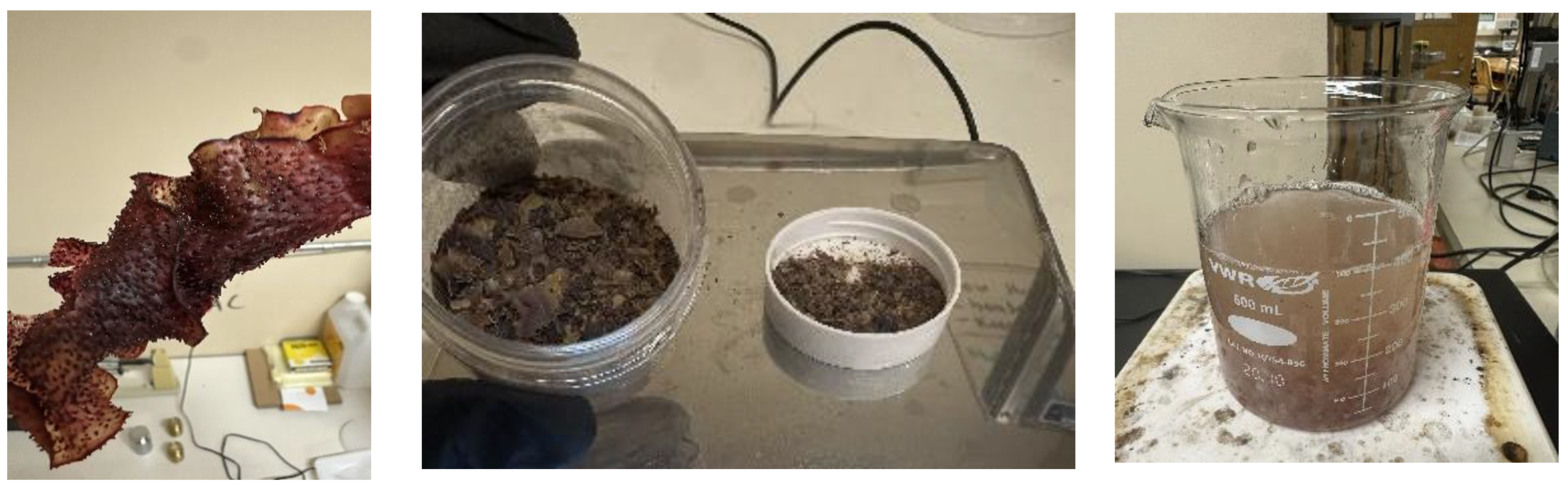 Preprints 187987 g001