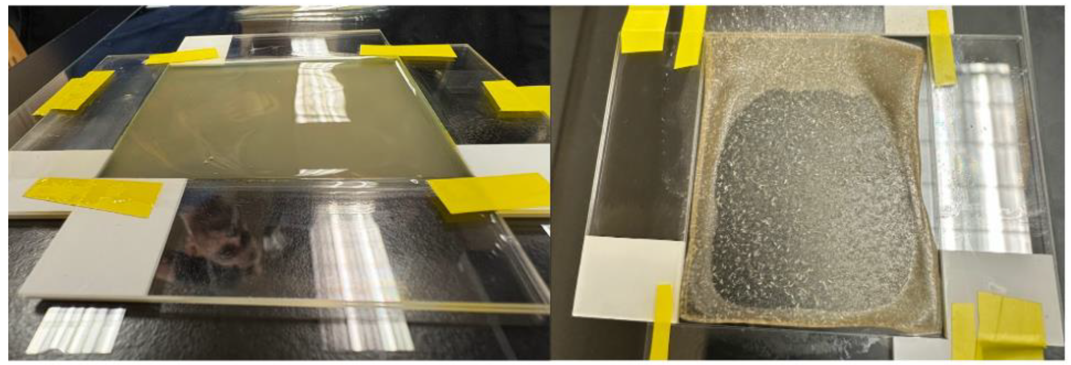 Preprints 187987 g003