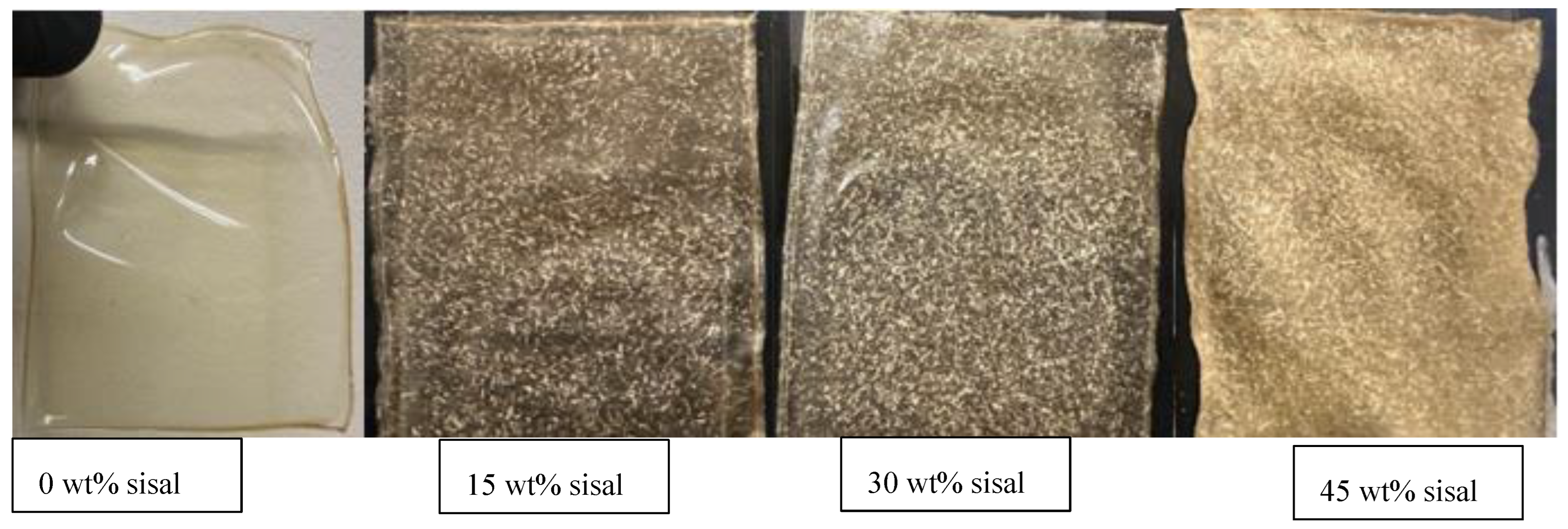 Preprints 187987 g004