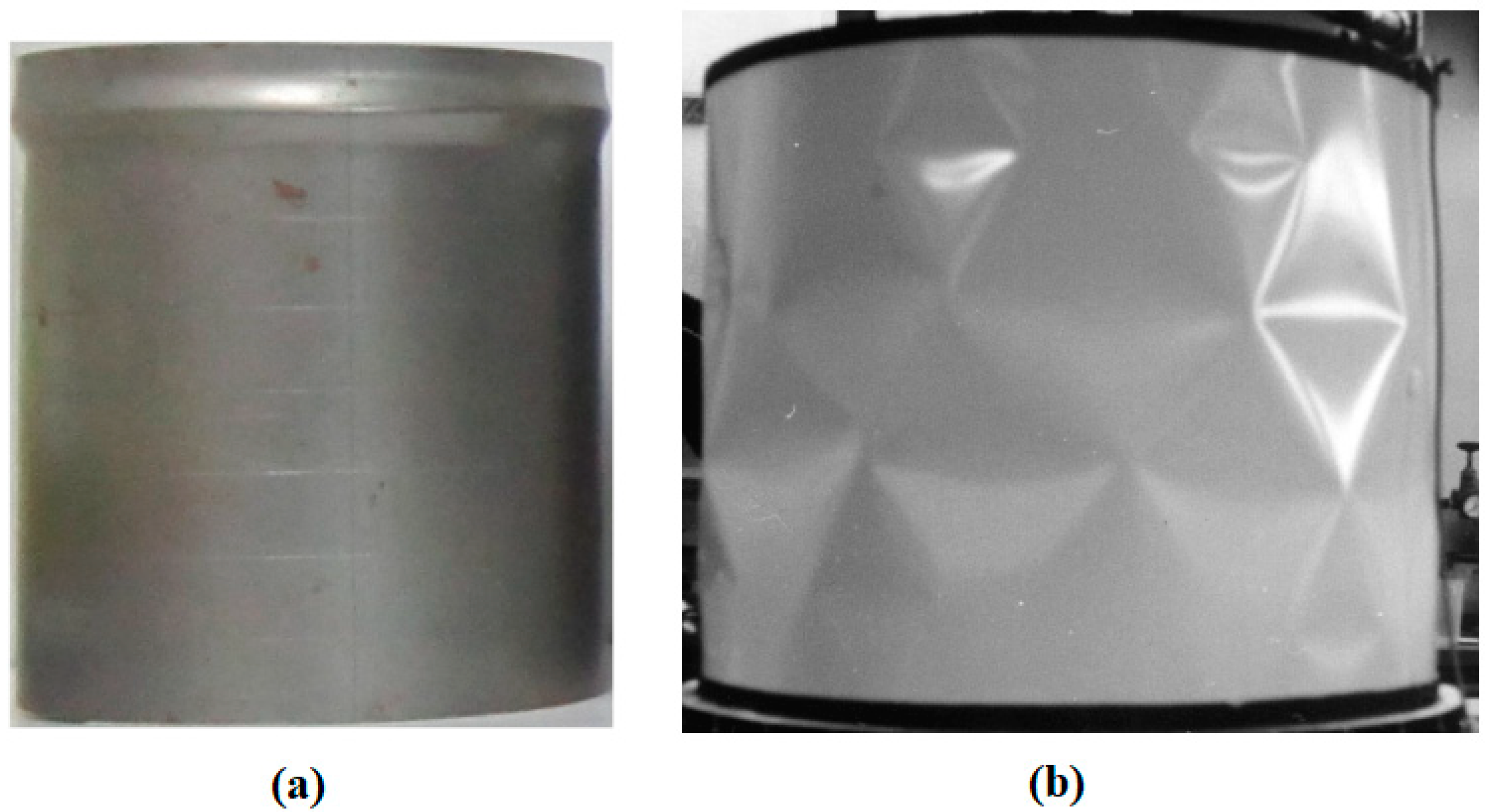 Preprints 151471 g004