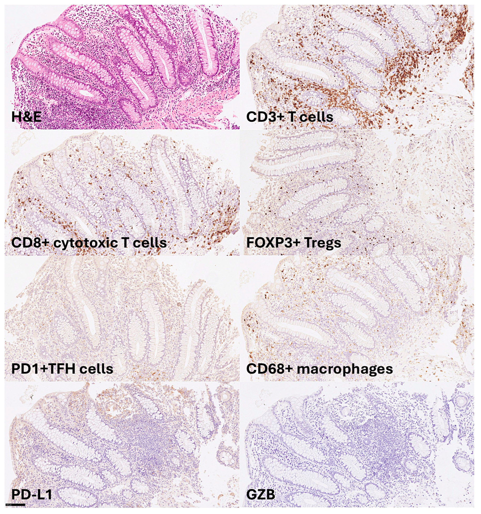 Preprints 150152 g001
