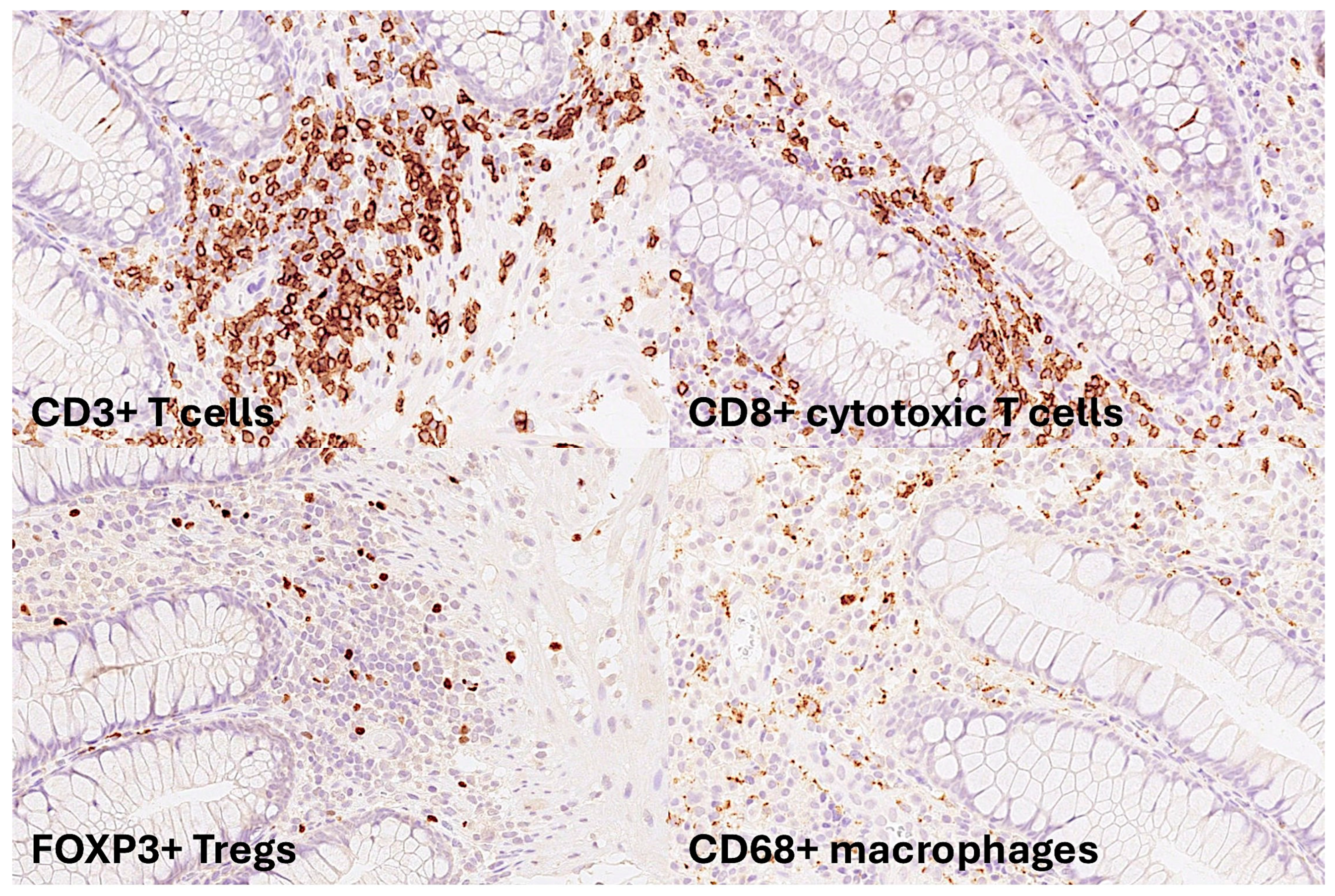 Preprints 150152 g002