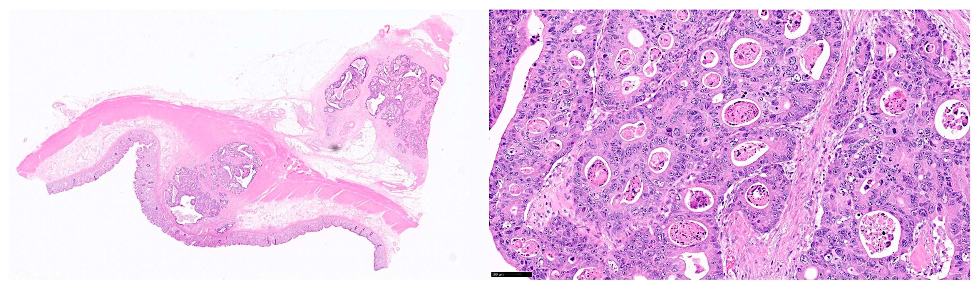 Preprints 150152 g003