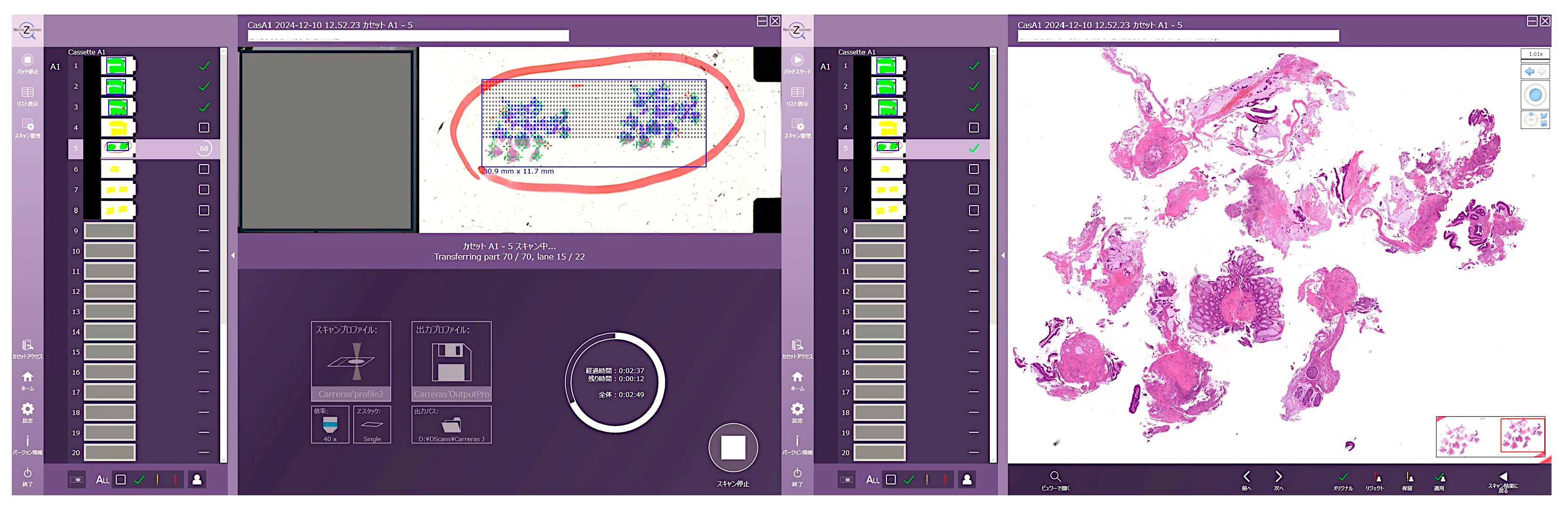 Preprints 150152 g006