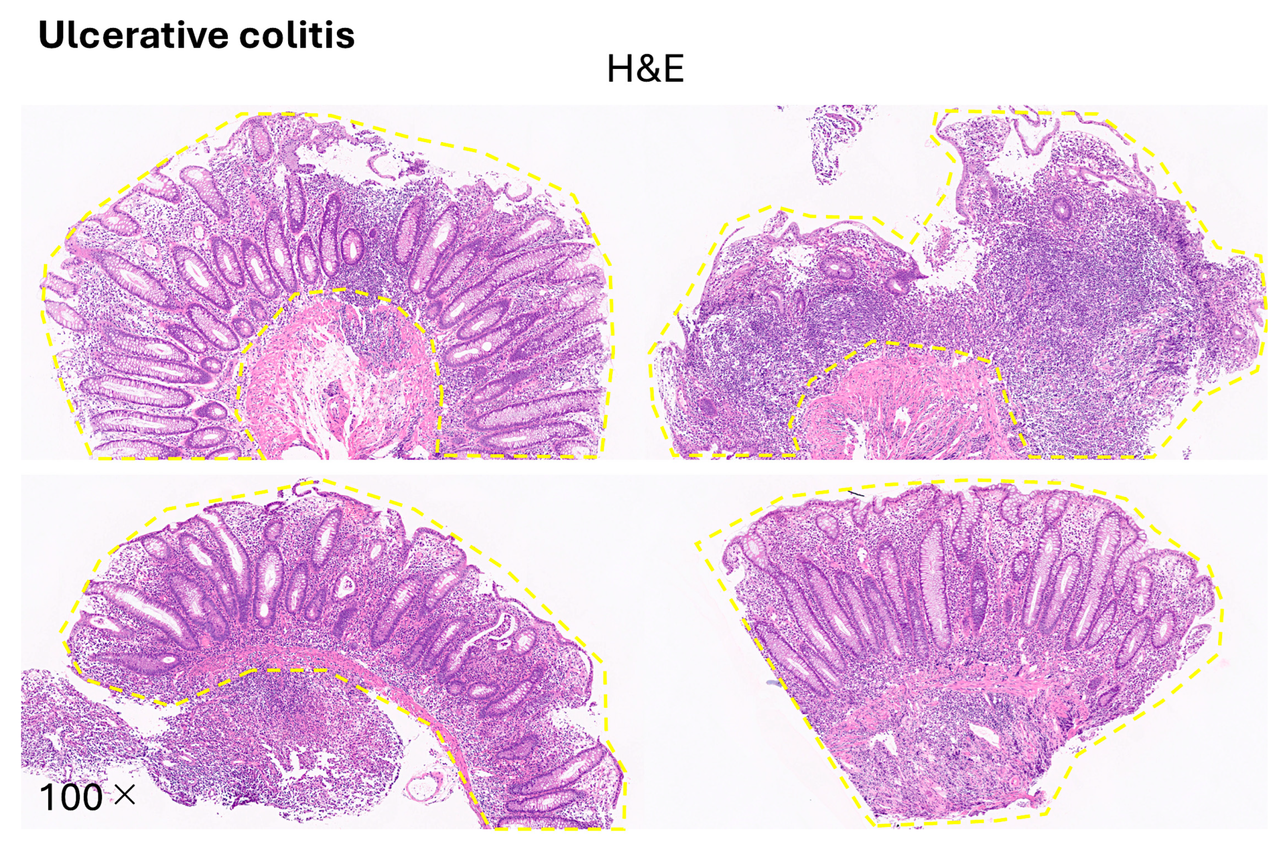 Preprints 150152 g0a1