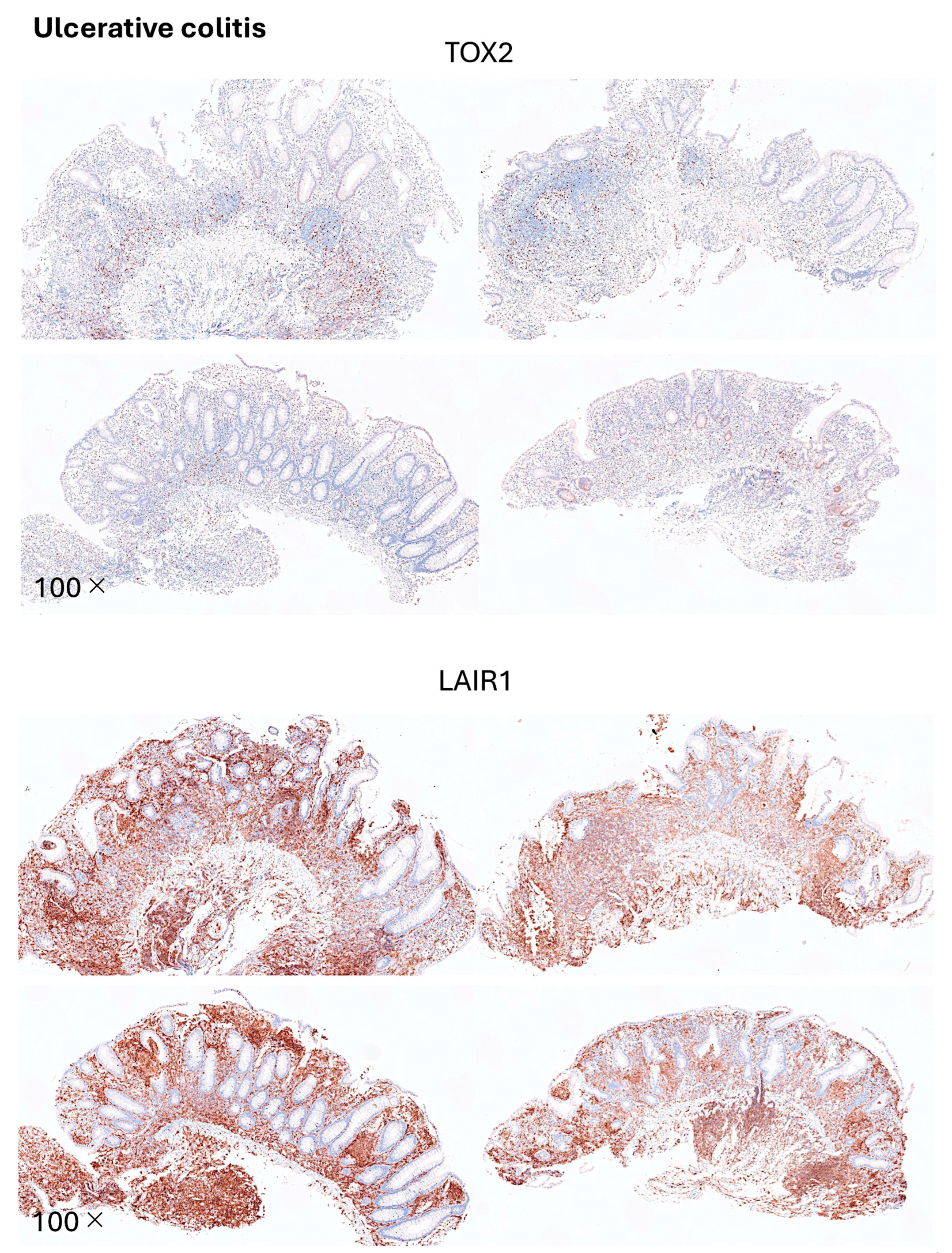 Preprints 150152 g0c1
