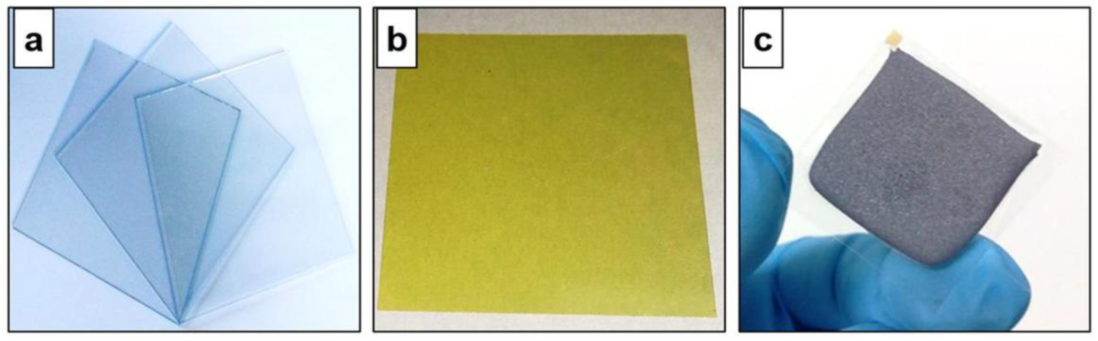 Preprints 151123 g008
