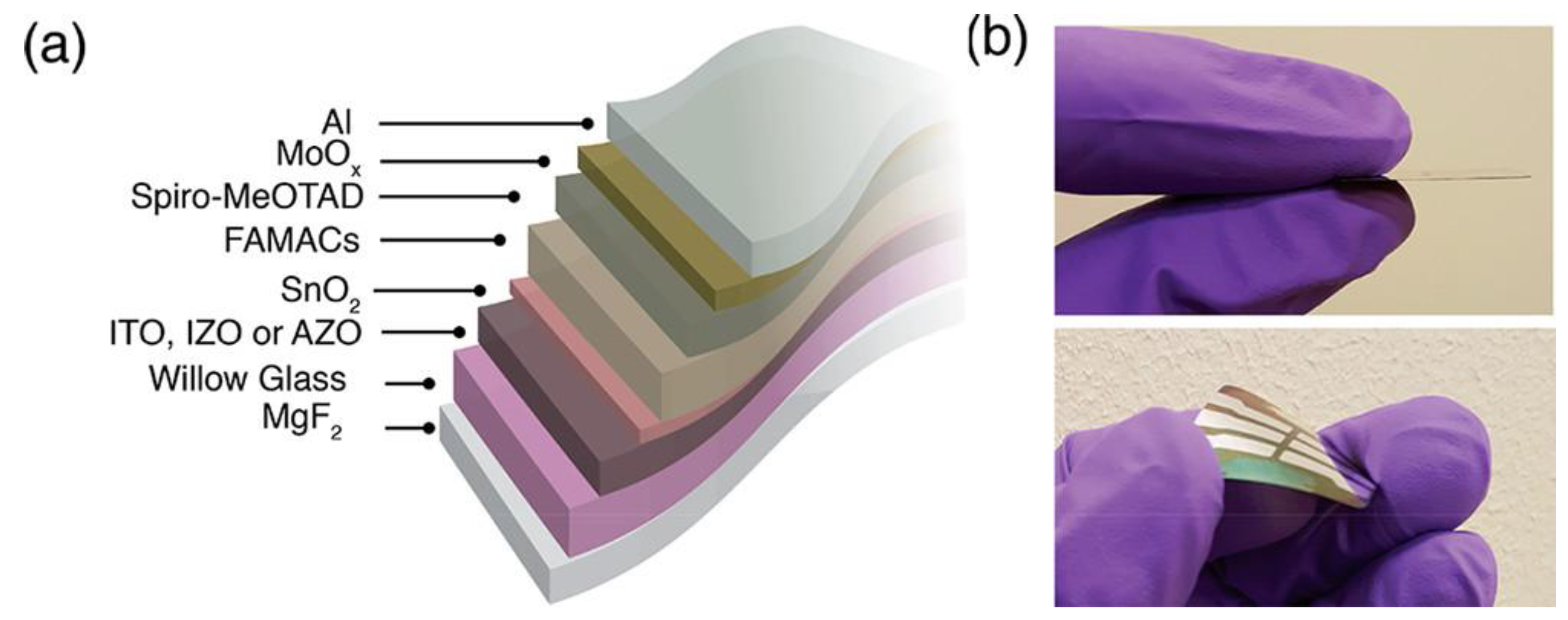 Preprints 151123 g010