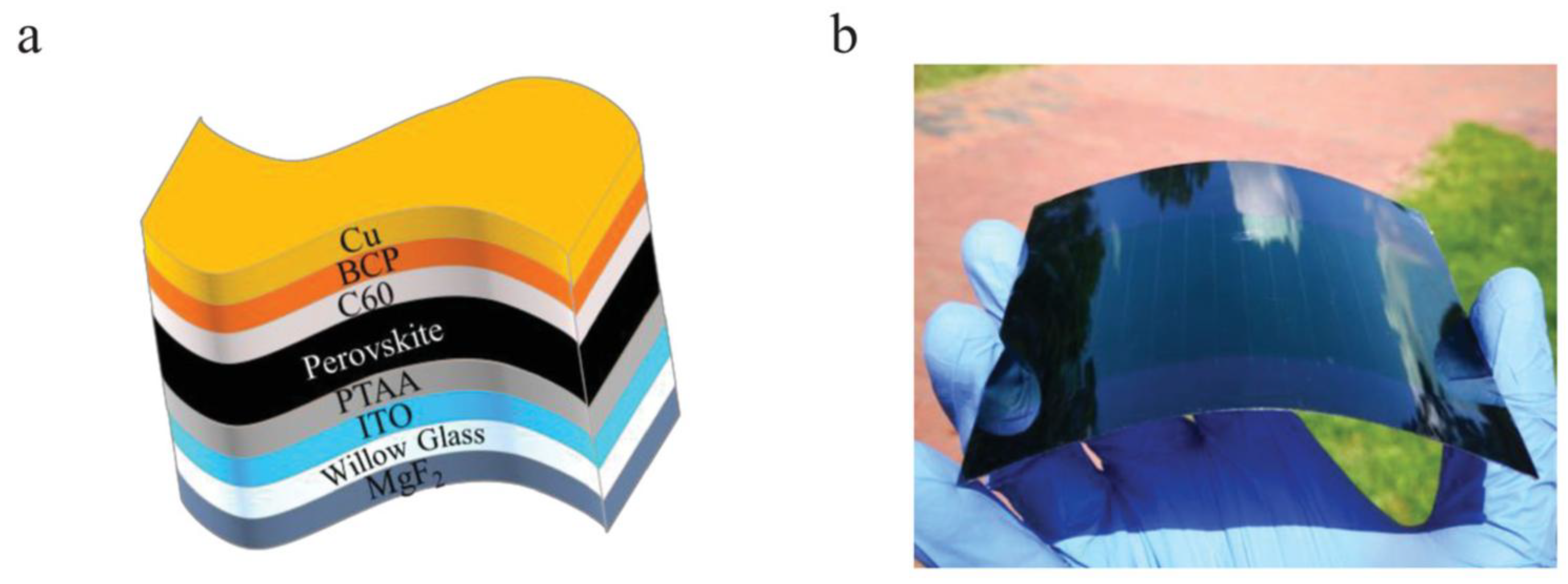 Preprints 151123 g011