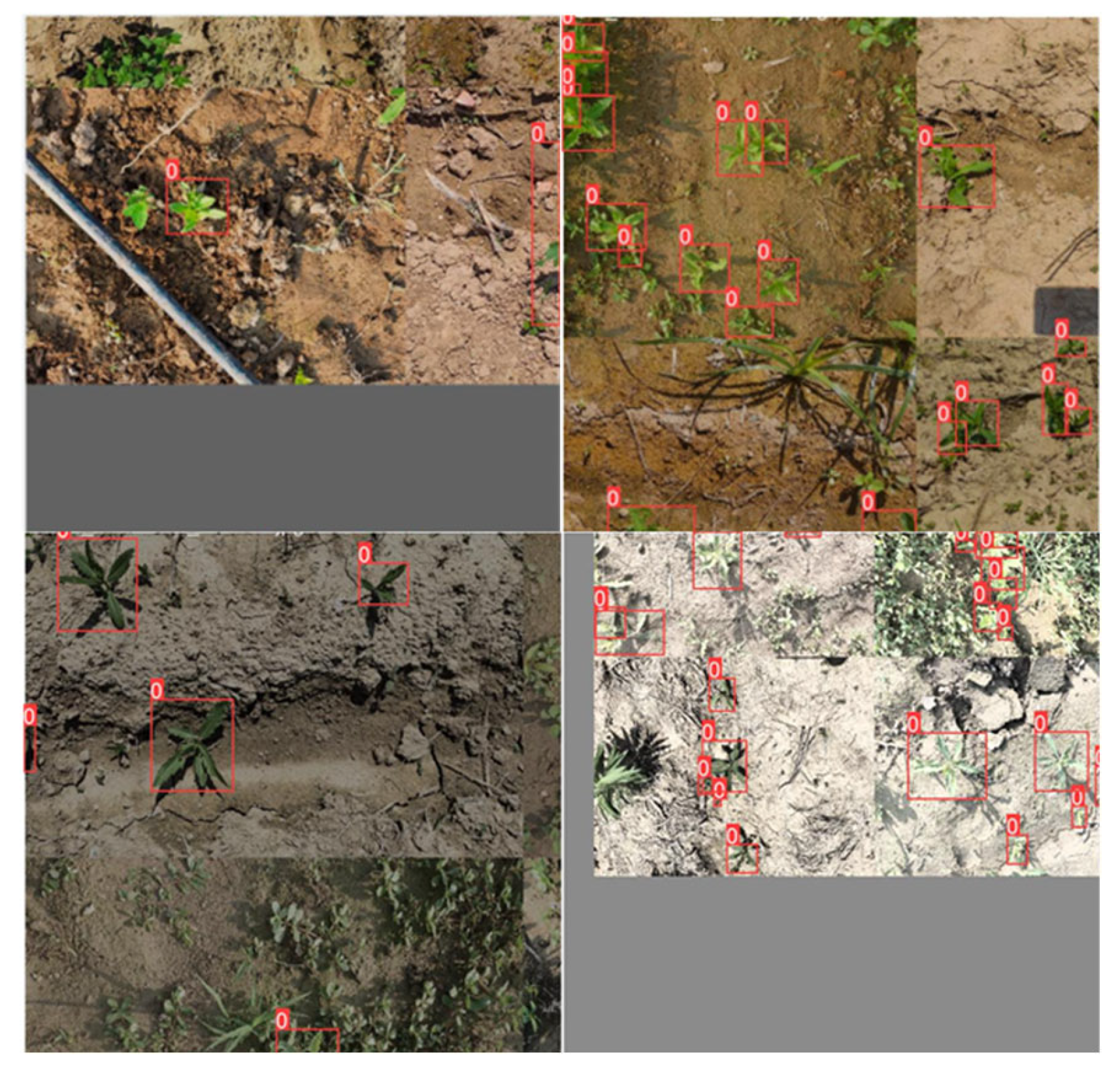 Preprints 191599 g004