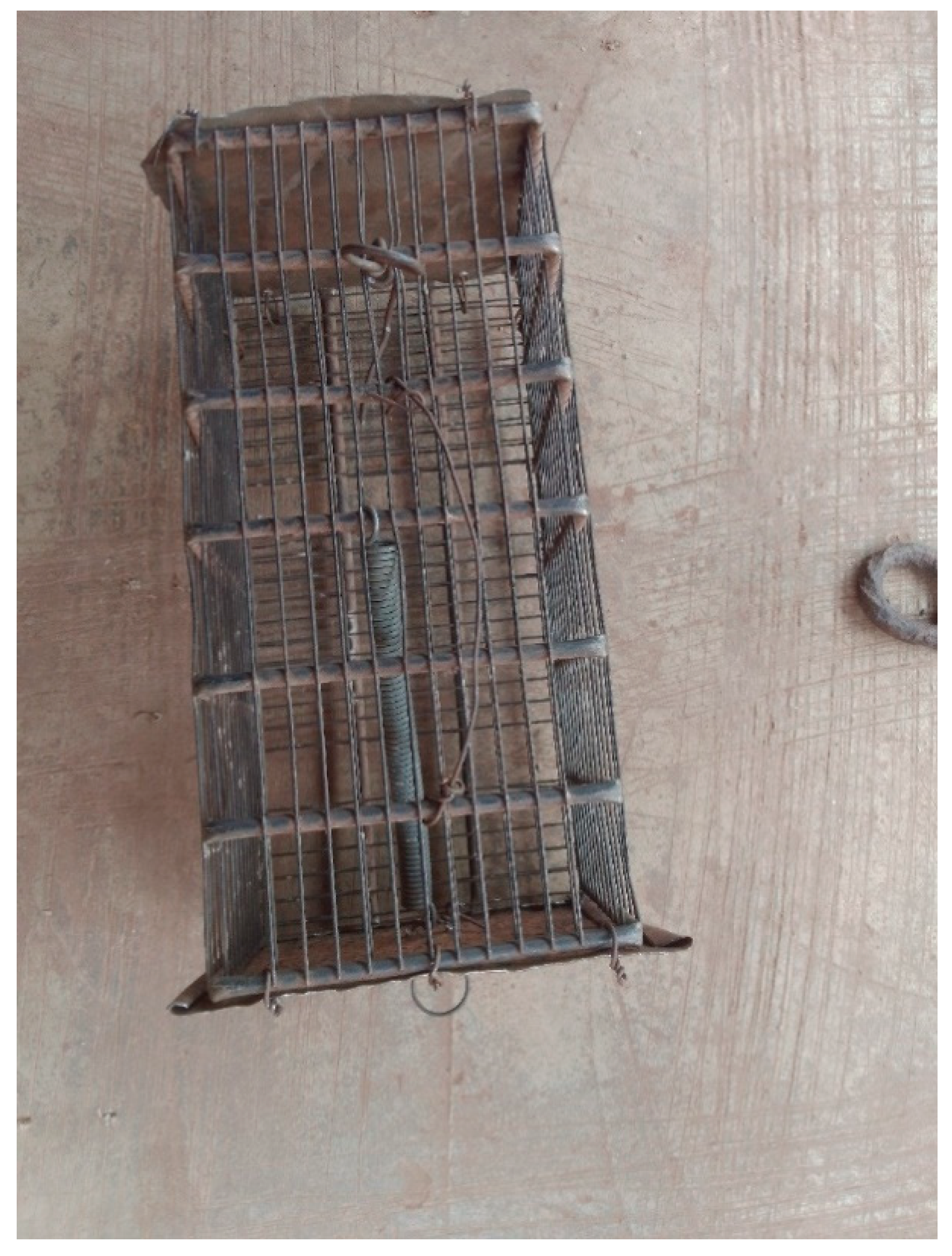 Preprints 170947 g008