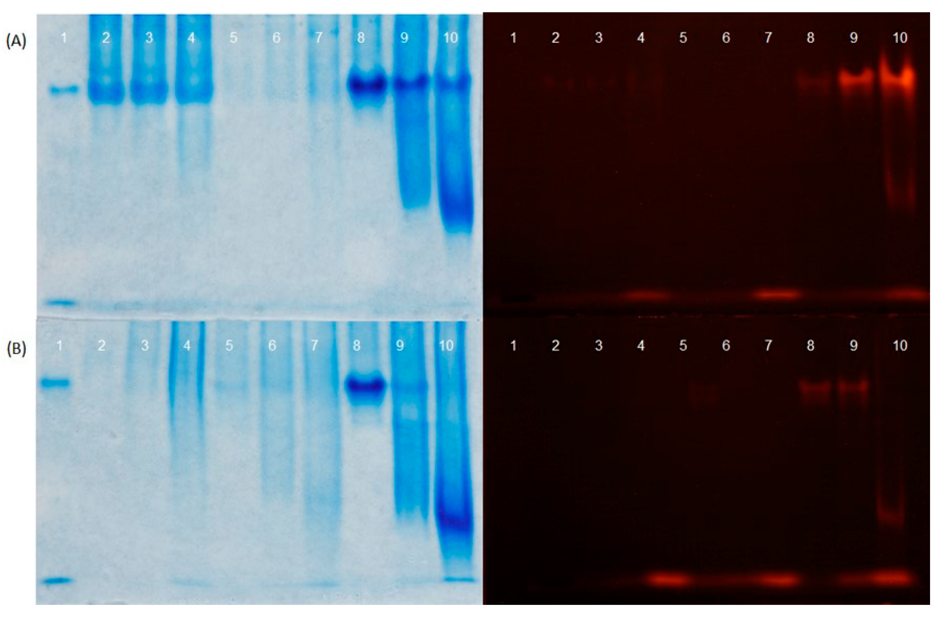 Preprints 96564 g002