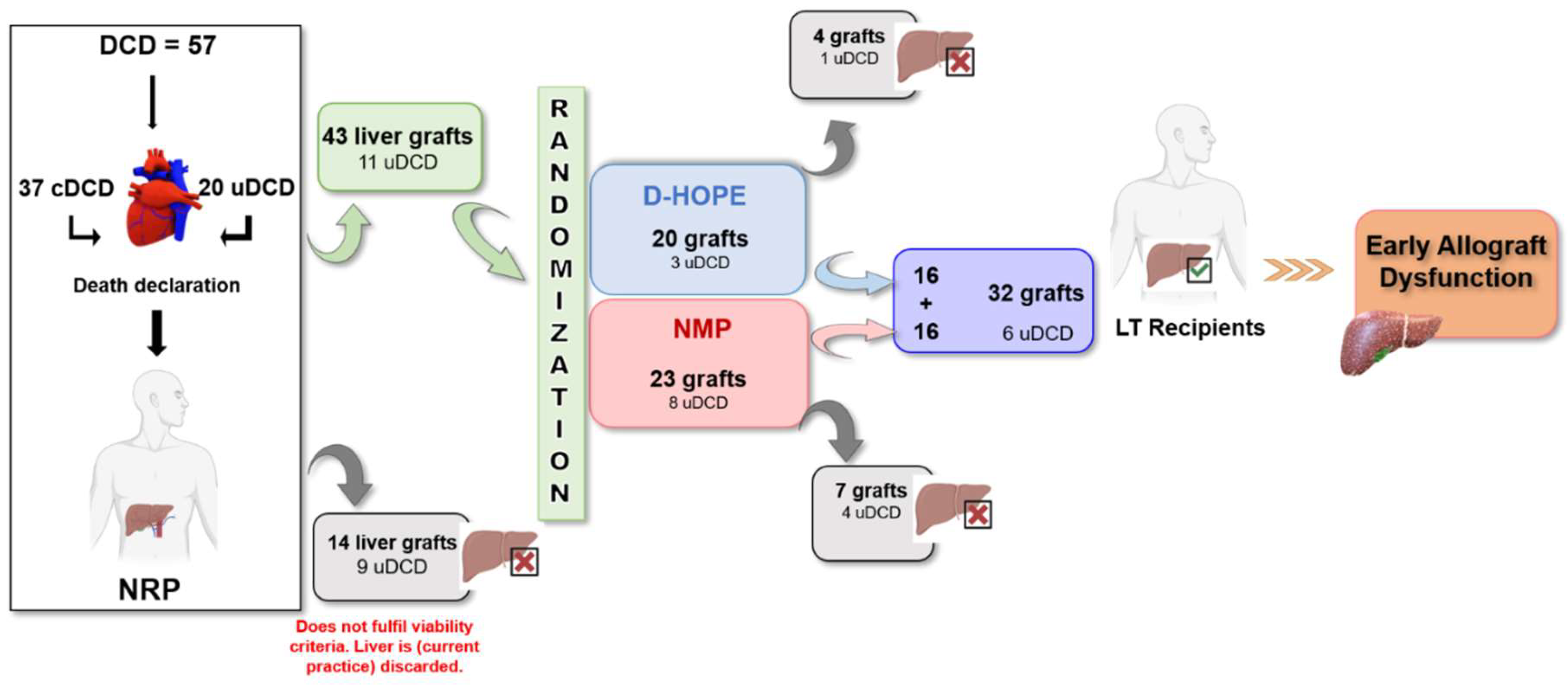 Preprints 139363 g001