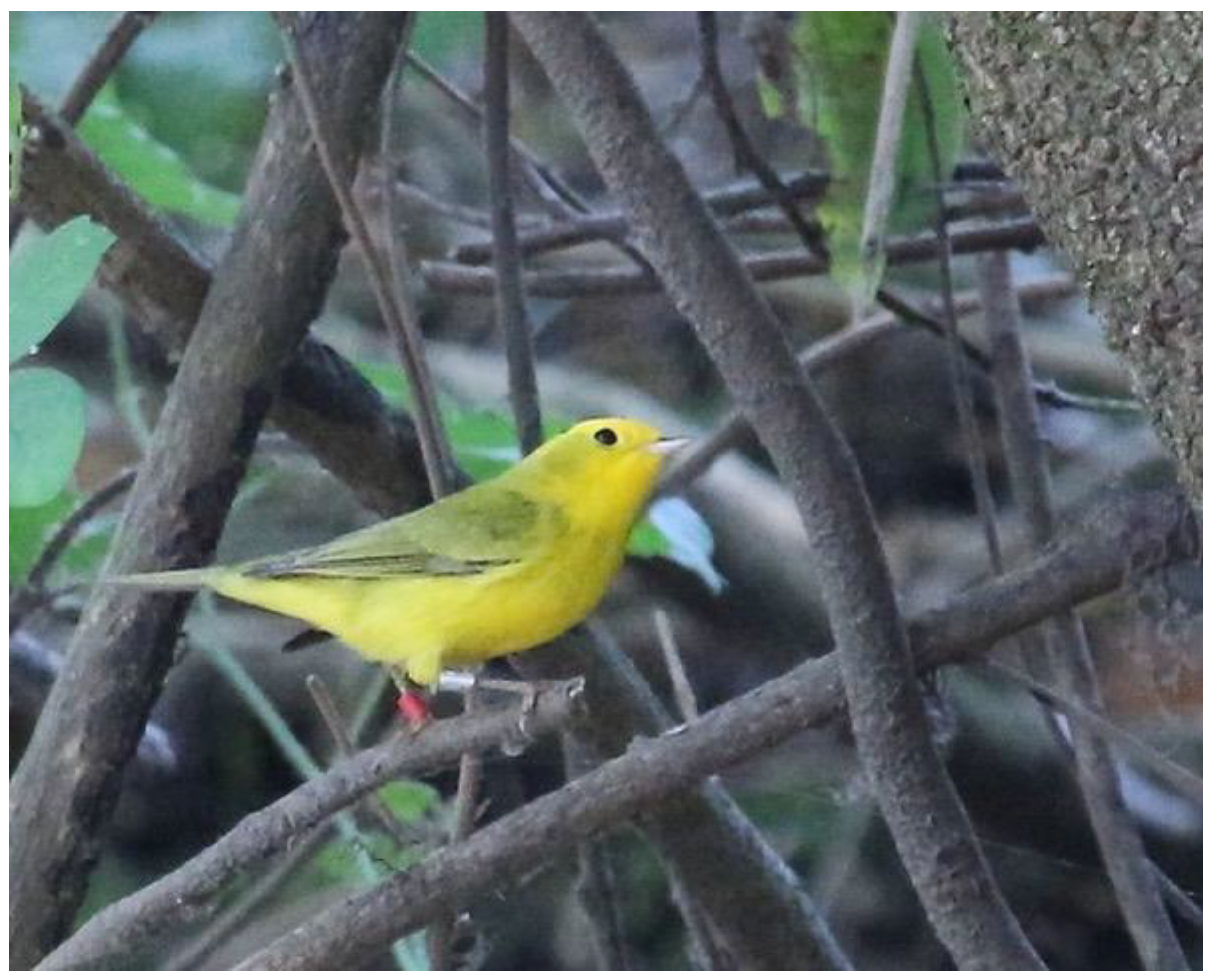 Preprints 171200 g001