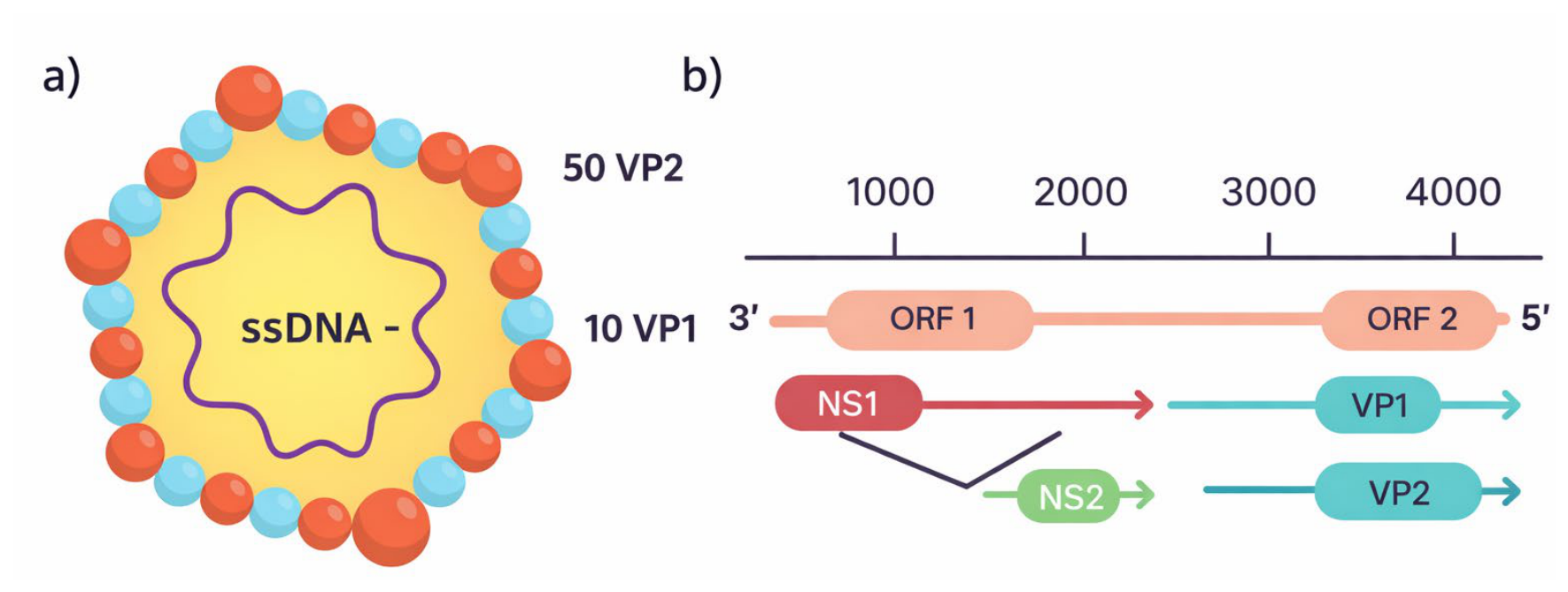 Preprints 211927 g002