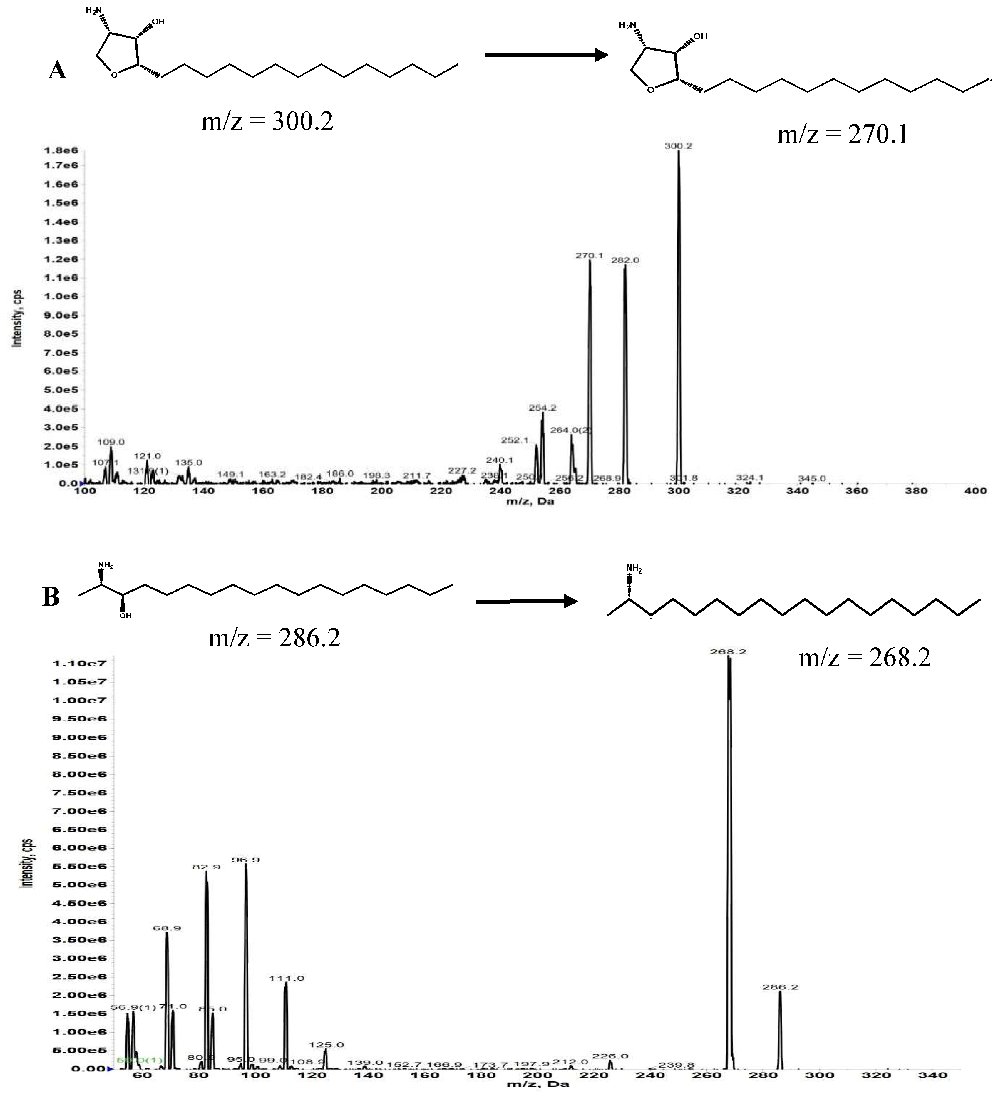 Preprints 148569 g001
