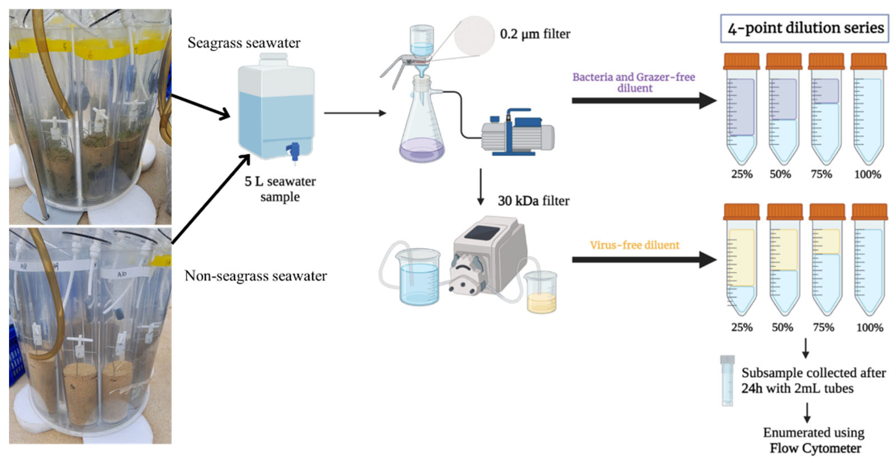 Preprints 99221 g001