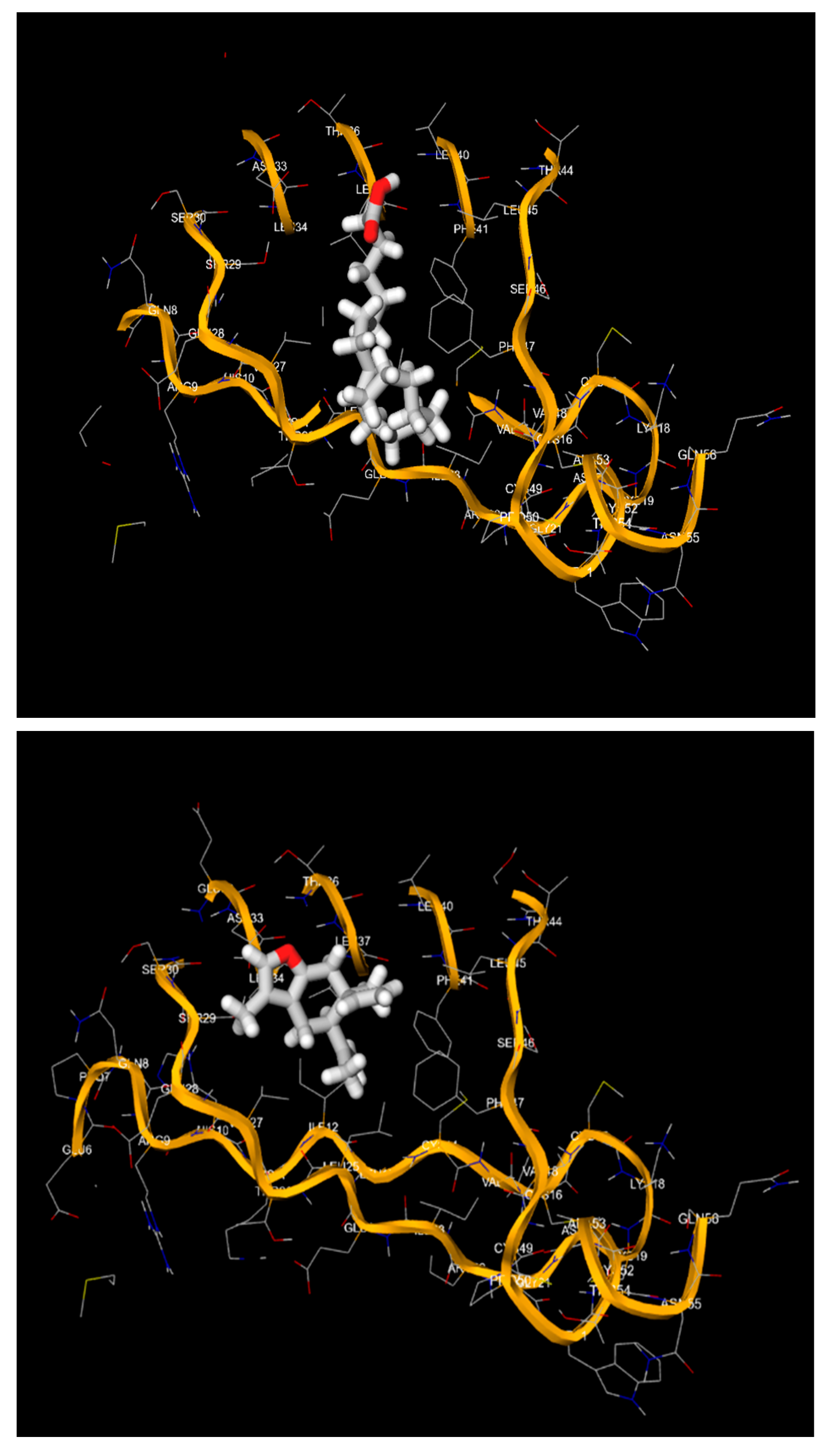 Preprints 115119 g001b
