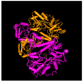 Preprints 115119 i009