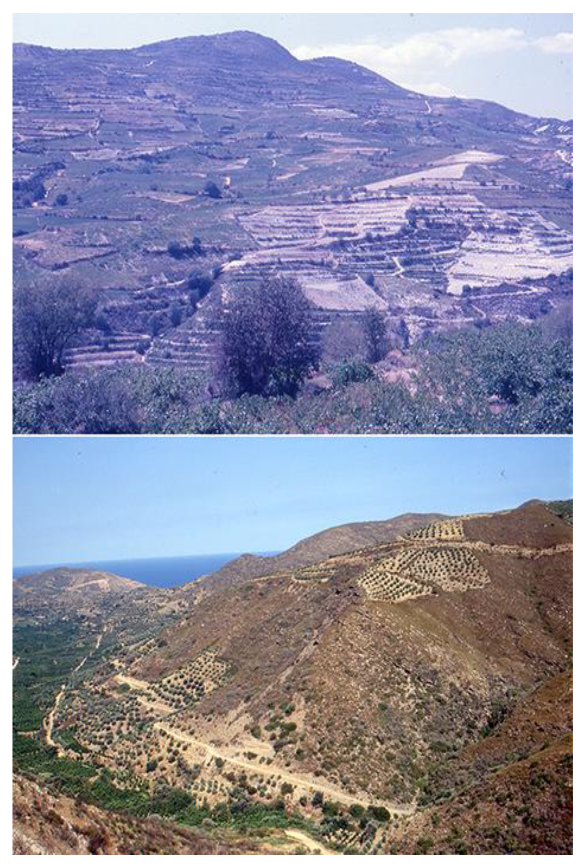 Preprints 88025 g012