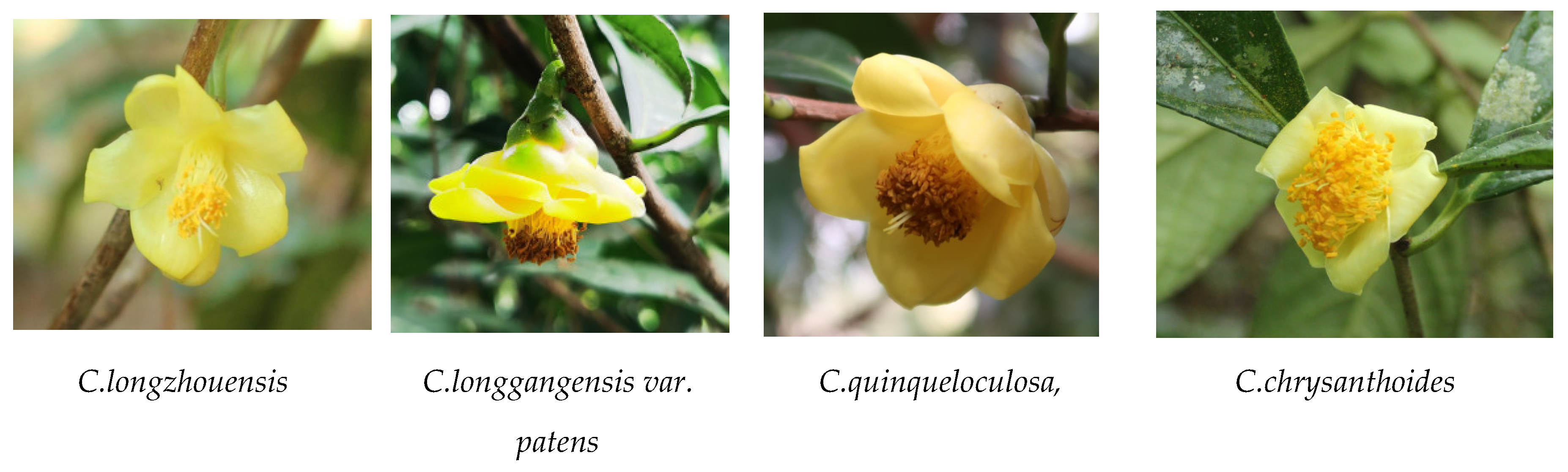 Preprints 87078 g003b